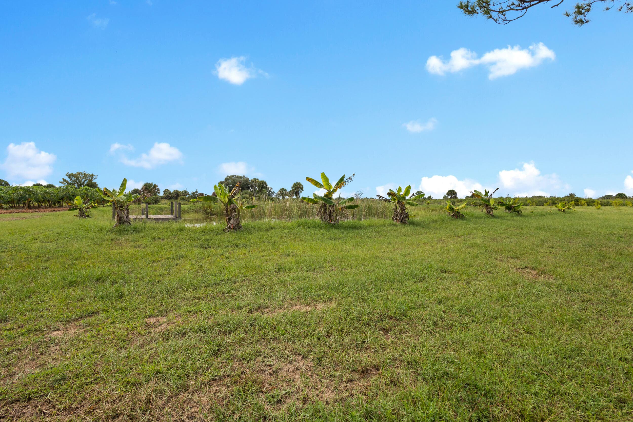 20914 NW 280th Street, Okeechobee, FL 34972 — photo 19 of 47