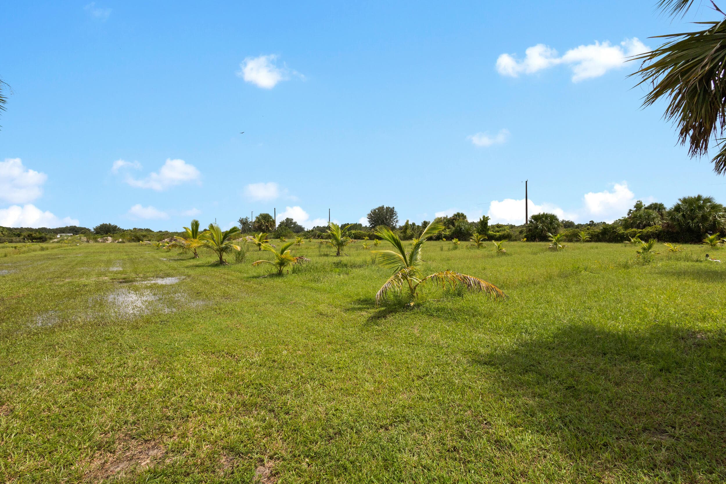 20914 NW 280th Street, Okeechobee, FL 34972 — photo 24 of 47