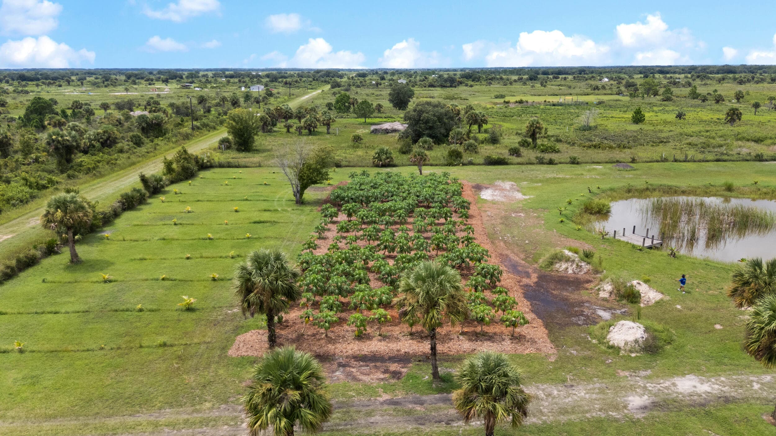 20914 NW 280th Street, Okeechobee, FL 34972 — photo 31 of 47