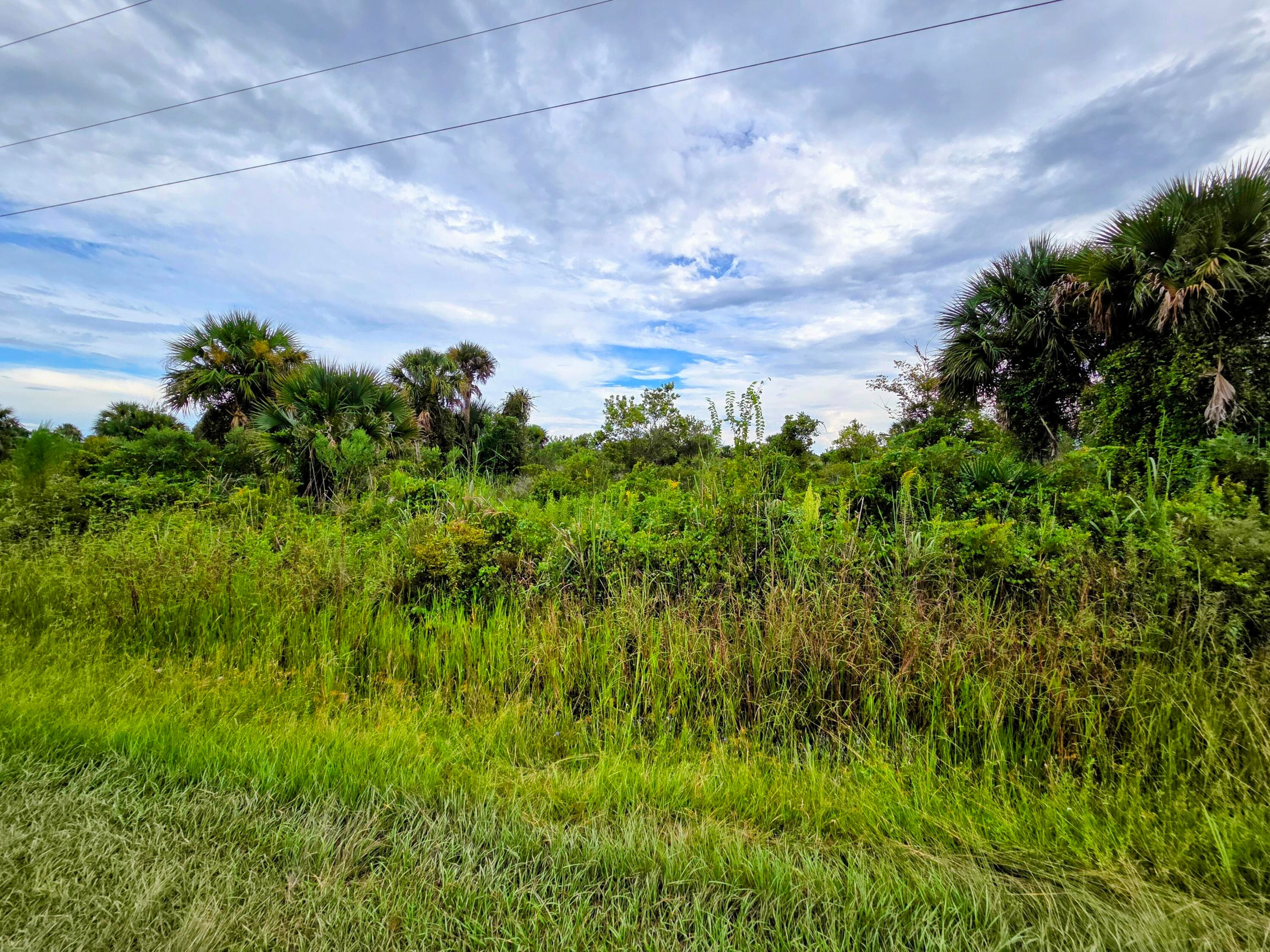 21018 NW 278th Street, Okeechobee, FL 34972 — photo 1 of 5