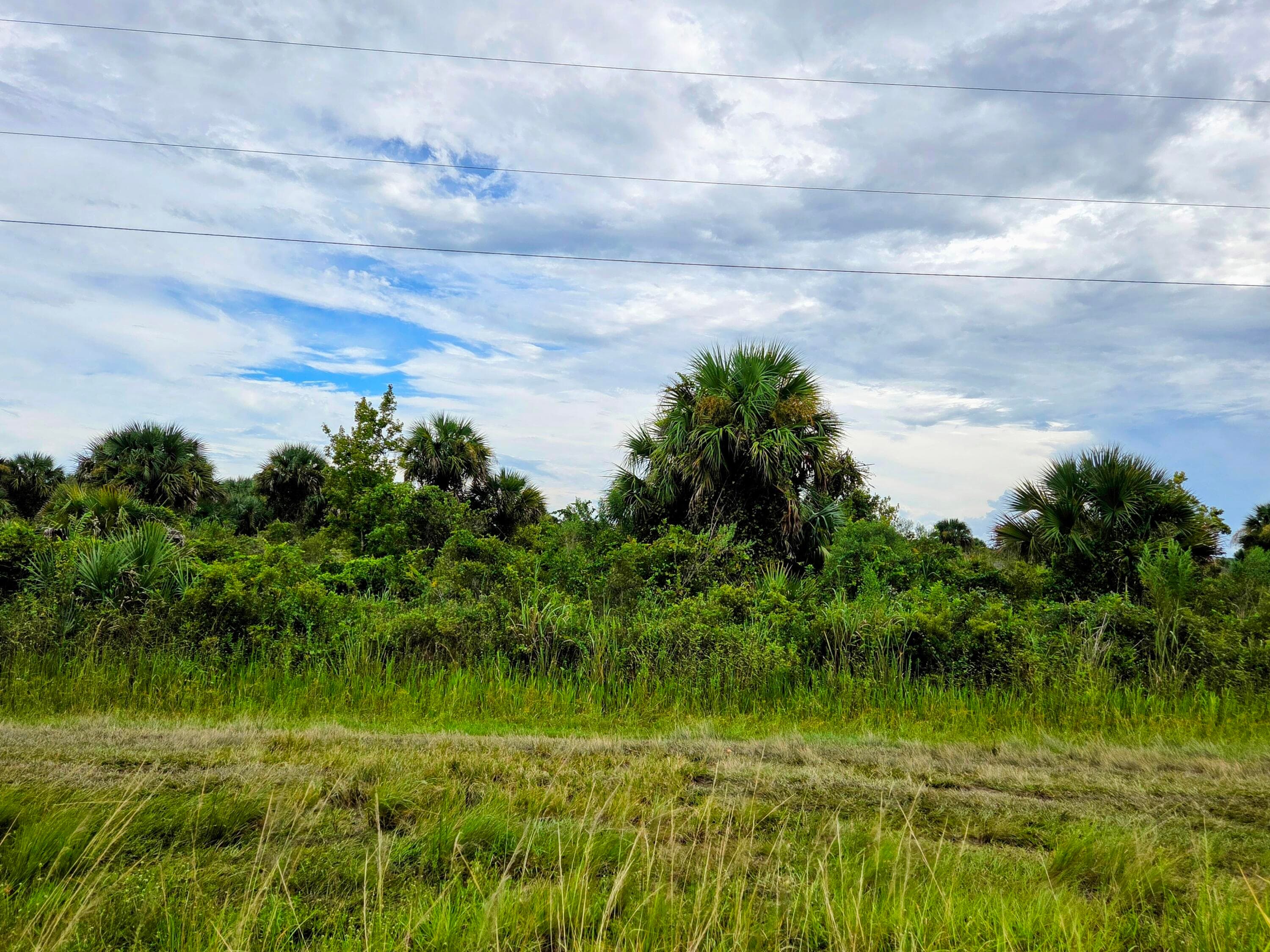 21018 NW 278th Street, Okeechobee, FL 34972 — photo 3 of 5