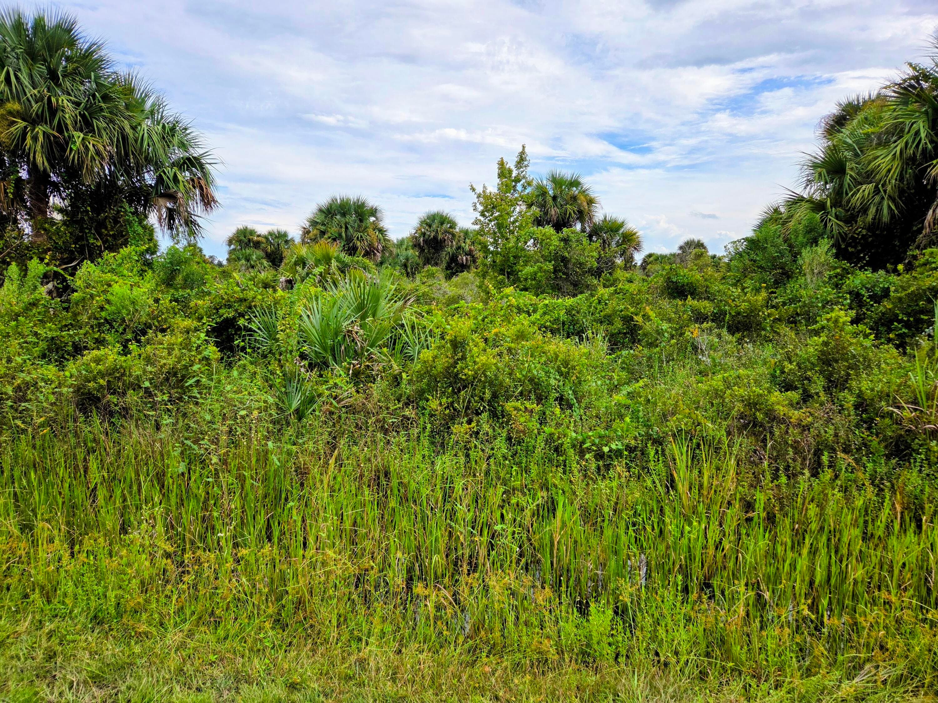 21018 NW 278th Street, Okeechobee, FL 34972 — photo 4 of 5