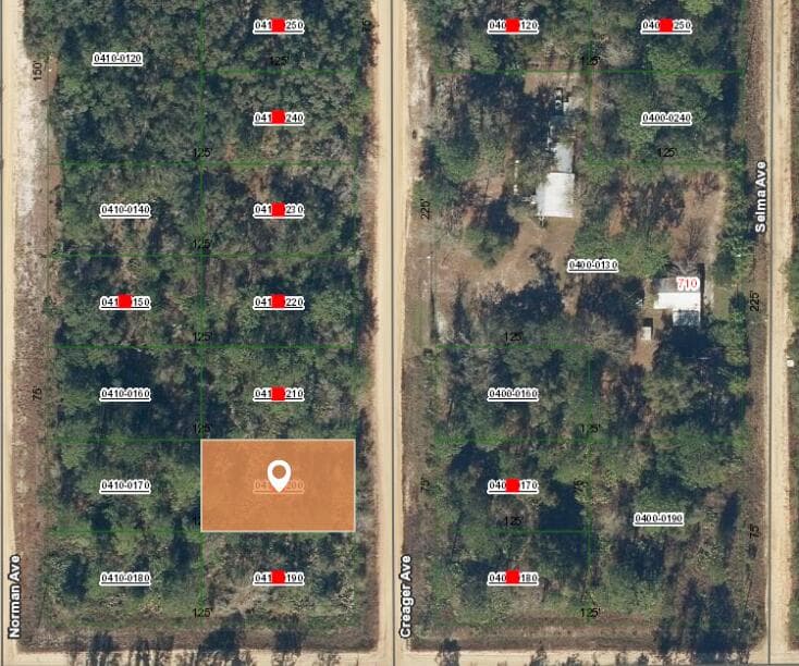 001 Creager, Interlachen, FL 32148 — photo 2 of 3