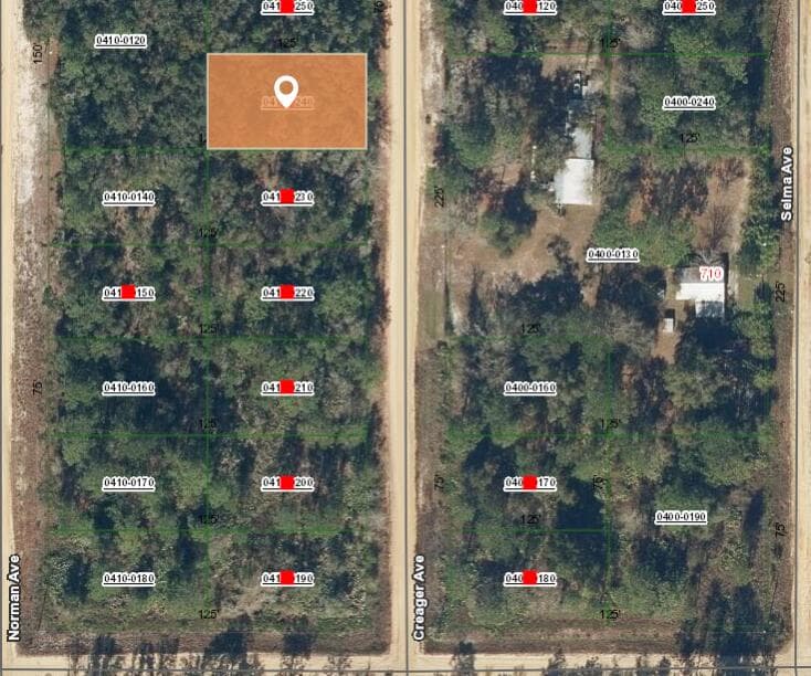 005 Creager Avenue, Interlachen, FL 32148 — photo 2 of 3