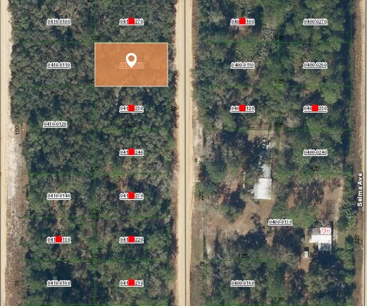008 Creager Avenue, Interlachen, FL 32148 — photo 2 of 3