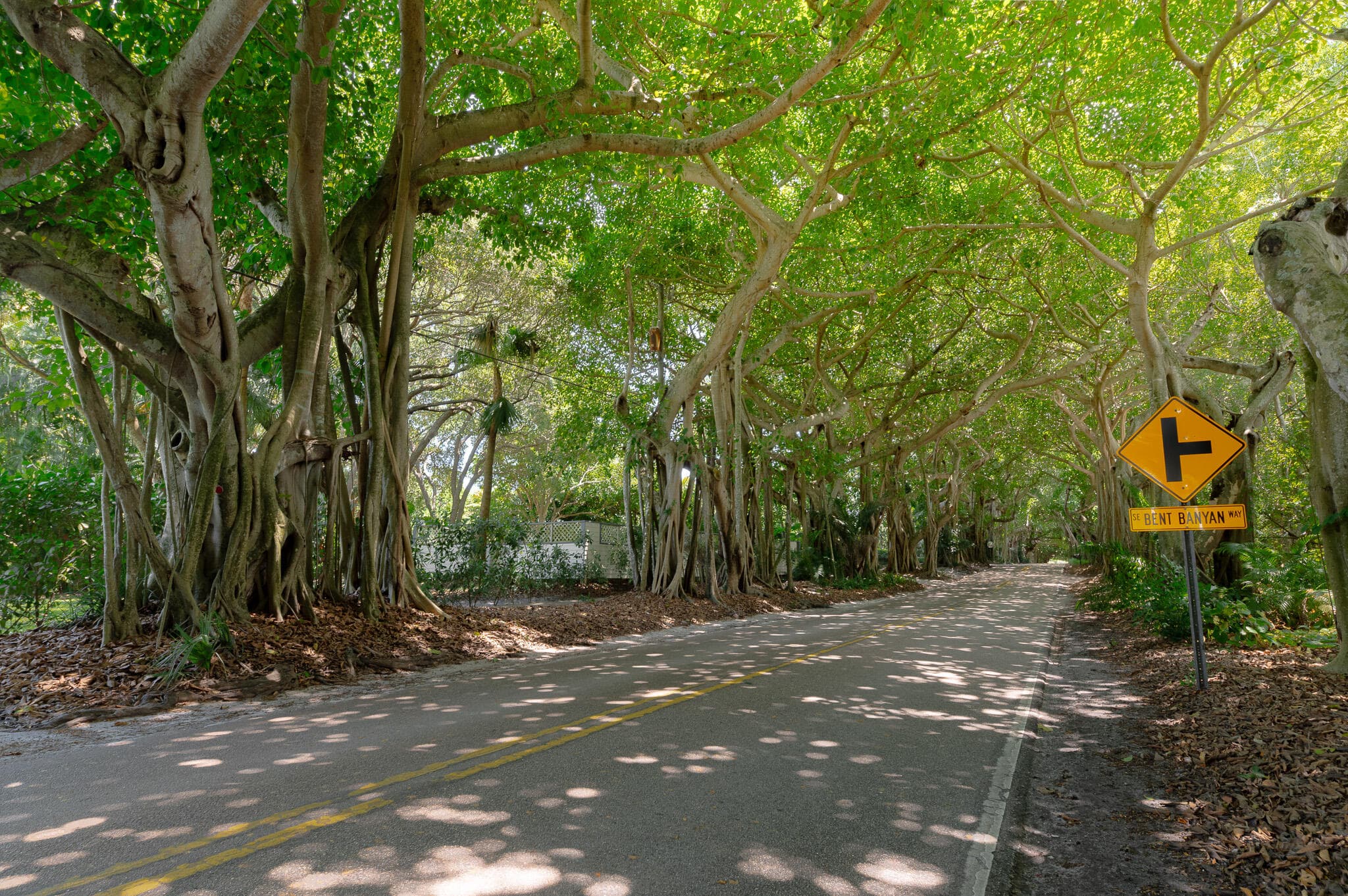 3800 SE Bent Banyan Way, Stuart, FL 34997 — photo 40 of 47