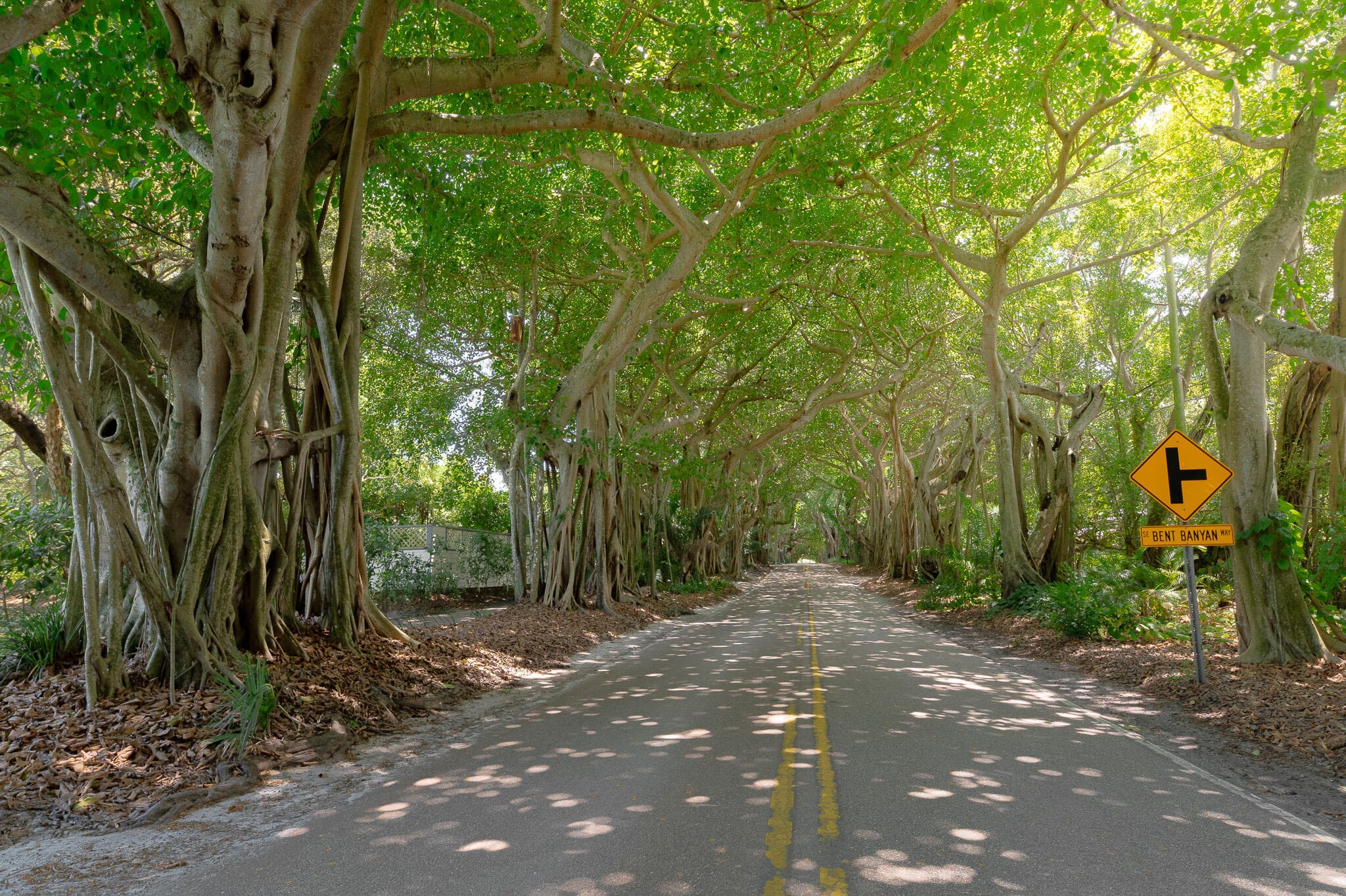 3800 SE Bent Banyan Way, Stuart, FL 34997 — photo 41 of 47