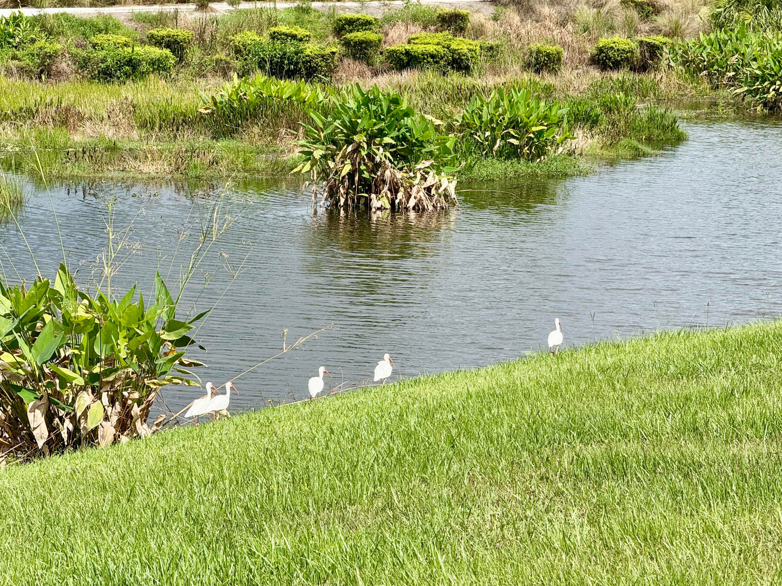 137 SE Mira Lavella, Port St. Lucie, FL 34984 — photo 4 of 10