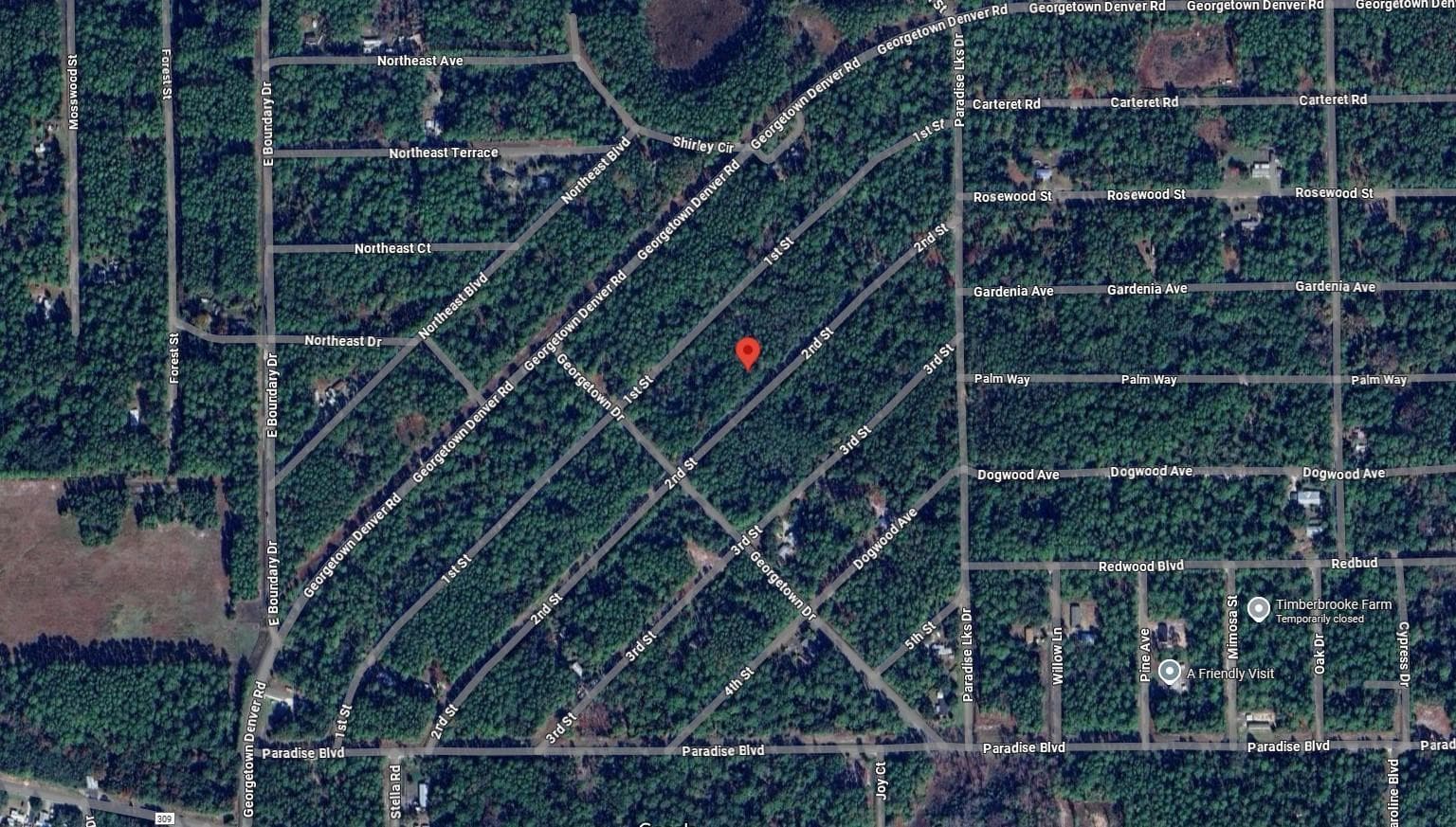 210 SE 2nd Street, Georgetown, FL 32139 — photo 7 of 7