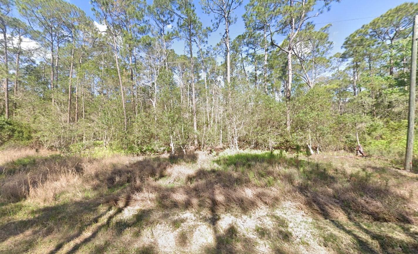 210 SE 2nd Street, Georgetown, FL 32139 — photo 6 of 7