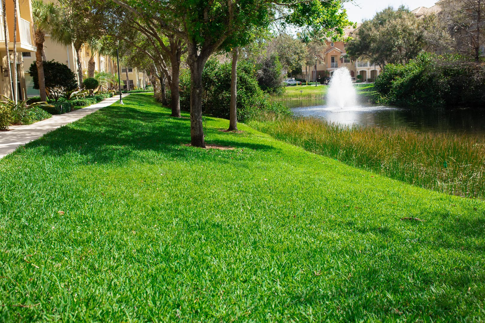 1272 Via Fiume, Boynton Beach, FL 33426 — photo 45 of 51