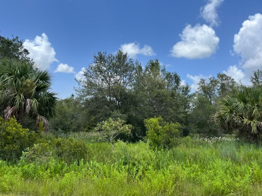 17915 NW 290th Street, Okeechobee, FL 34972 — photo 2 of 16