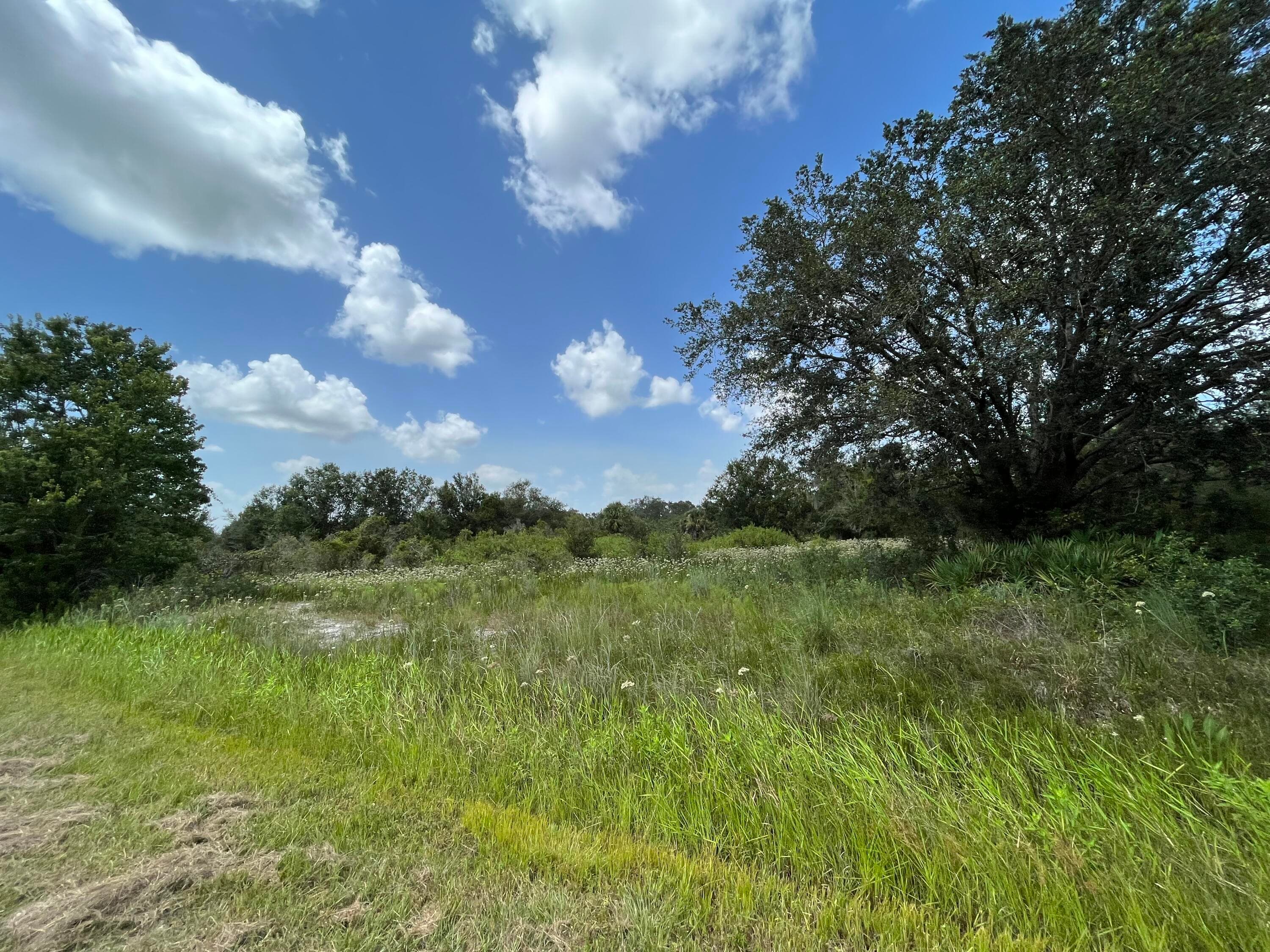 17915 NW 290th Street, Okeechobee, FL 34972 — photo 8 of 16