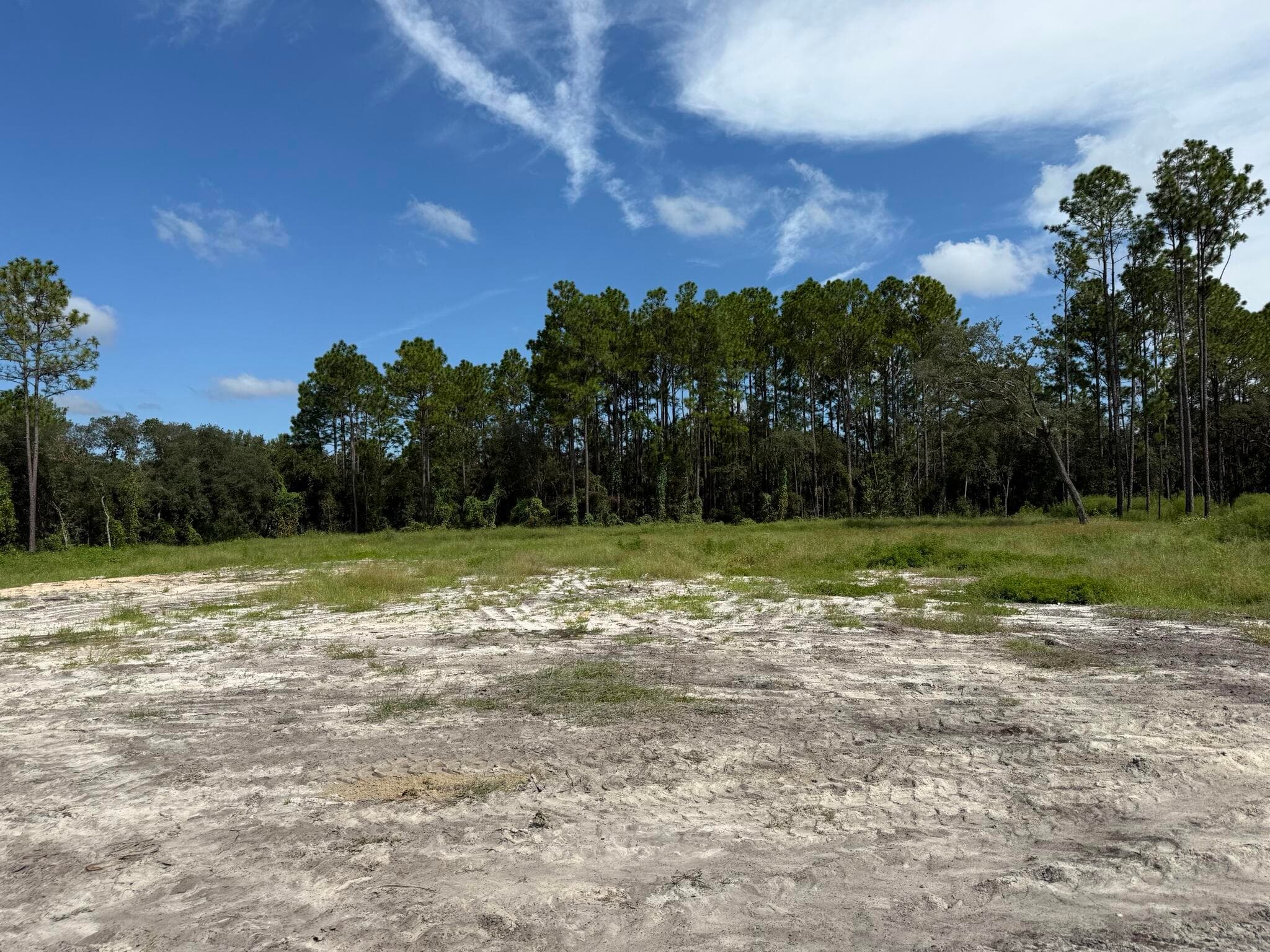 Tbd SW 146th Lane Road, Dunnellon, FL 34432 — photo 2 of 23