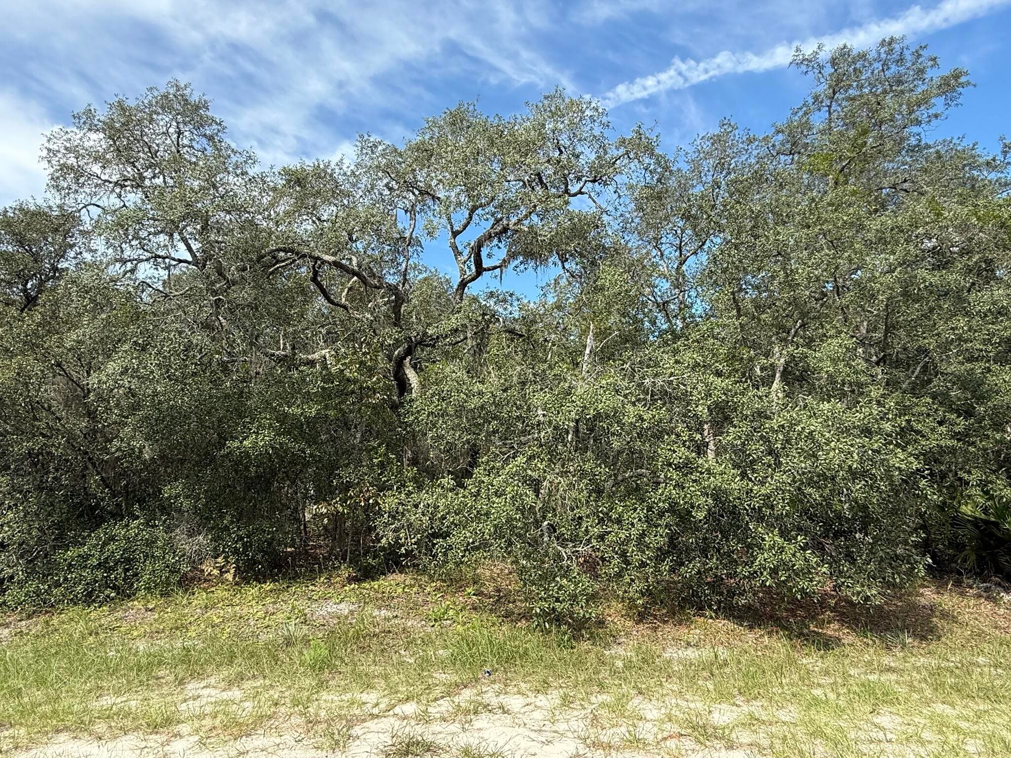 Tbd SW 146th Lane Road, Dunnellon, FL 34432 — photo 7 of 23