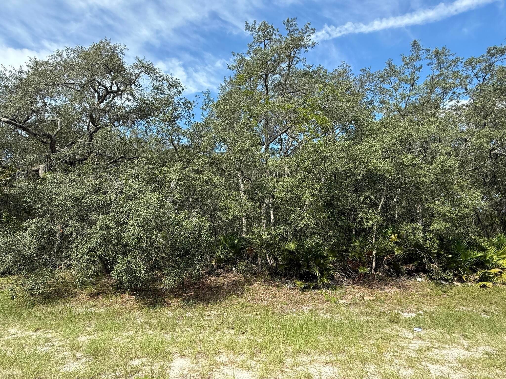 Tbd SW 146th Lane Road, Dunnellon, FL 34432 — photo 8 of 23