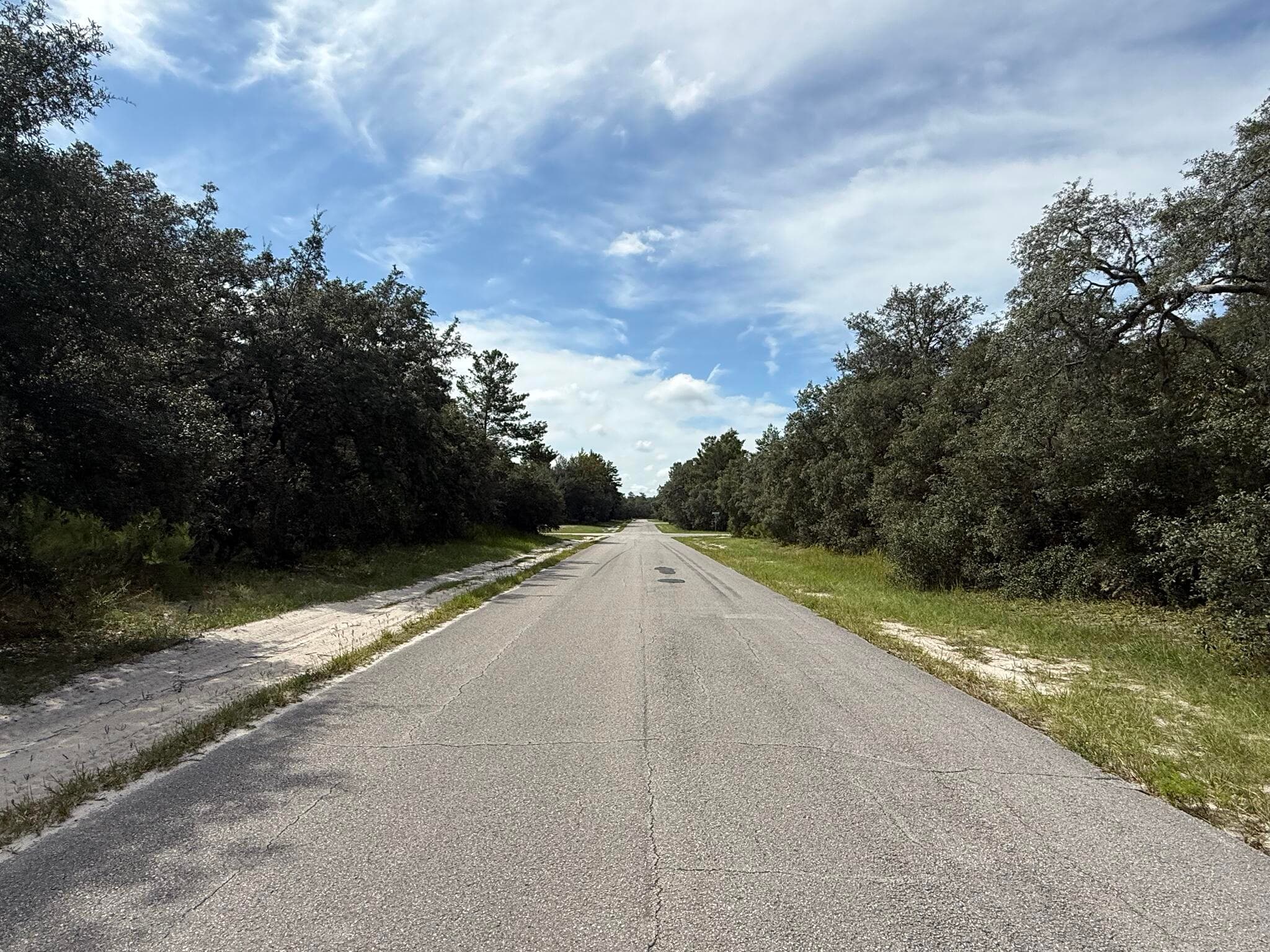 Tbd SW 146th Lane Road, Dunnellon, FL 34432 — photo 9 of 23