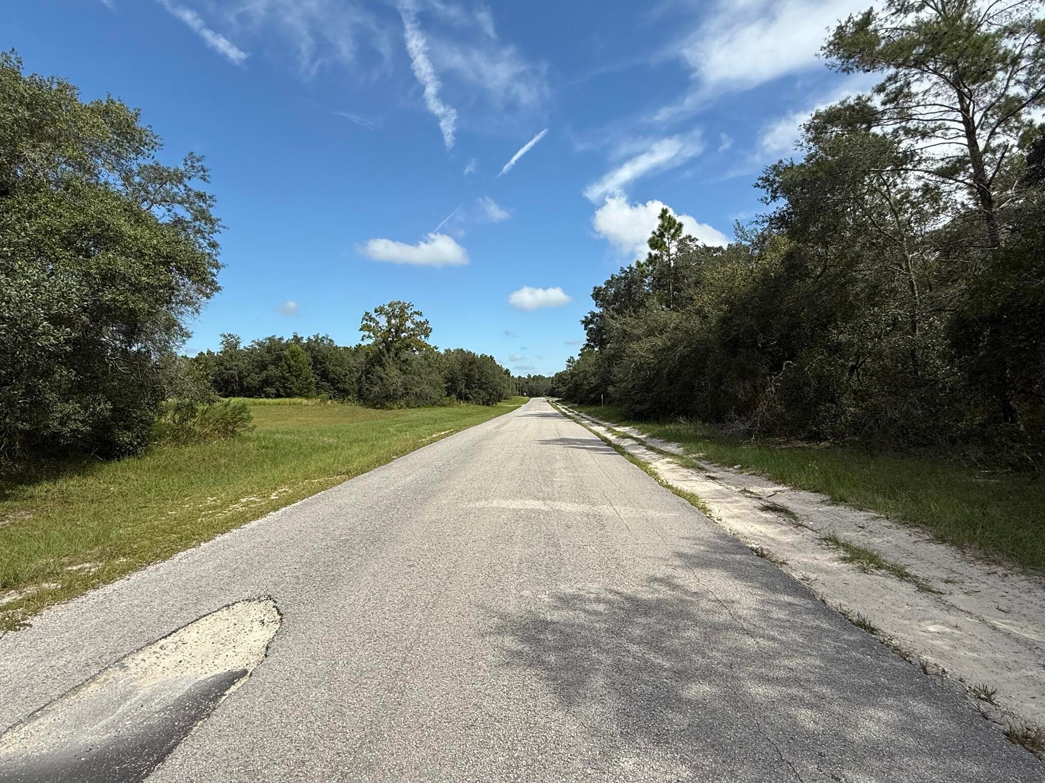Tbd SW 146th Lane Road, Dunnellon, FL 34432 — photo 5 of 23
