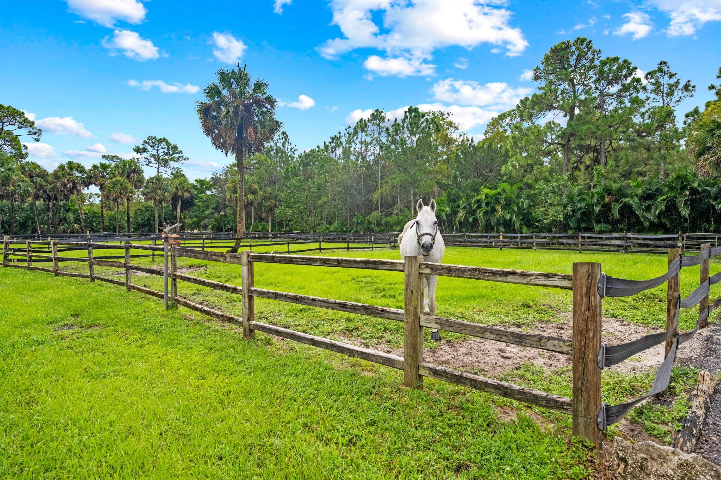 2915 Doe Trail, The Acreage, FL 33470 — photo 7 of 47