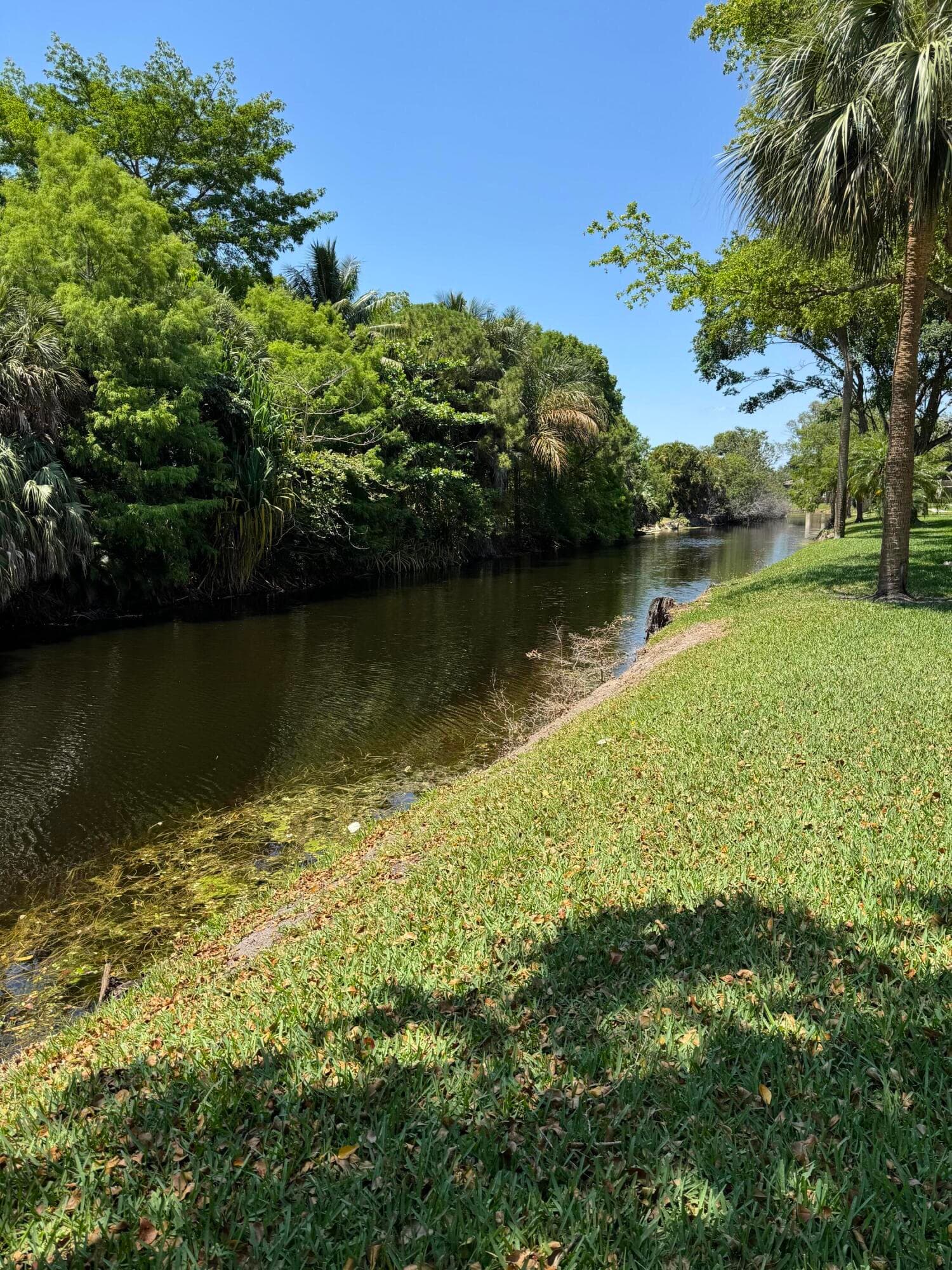 147 Deer Creek Boulevard 402, Deerfield Beach, FL 33442 — photo 51 of 80