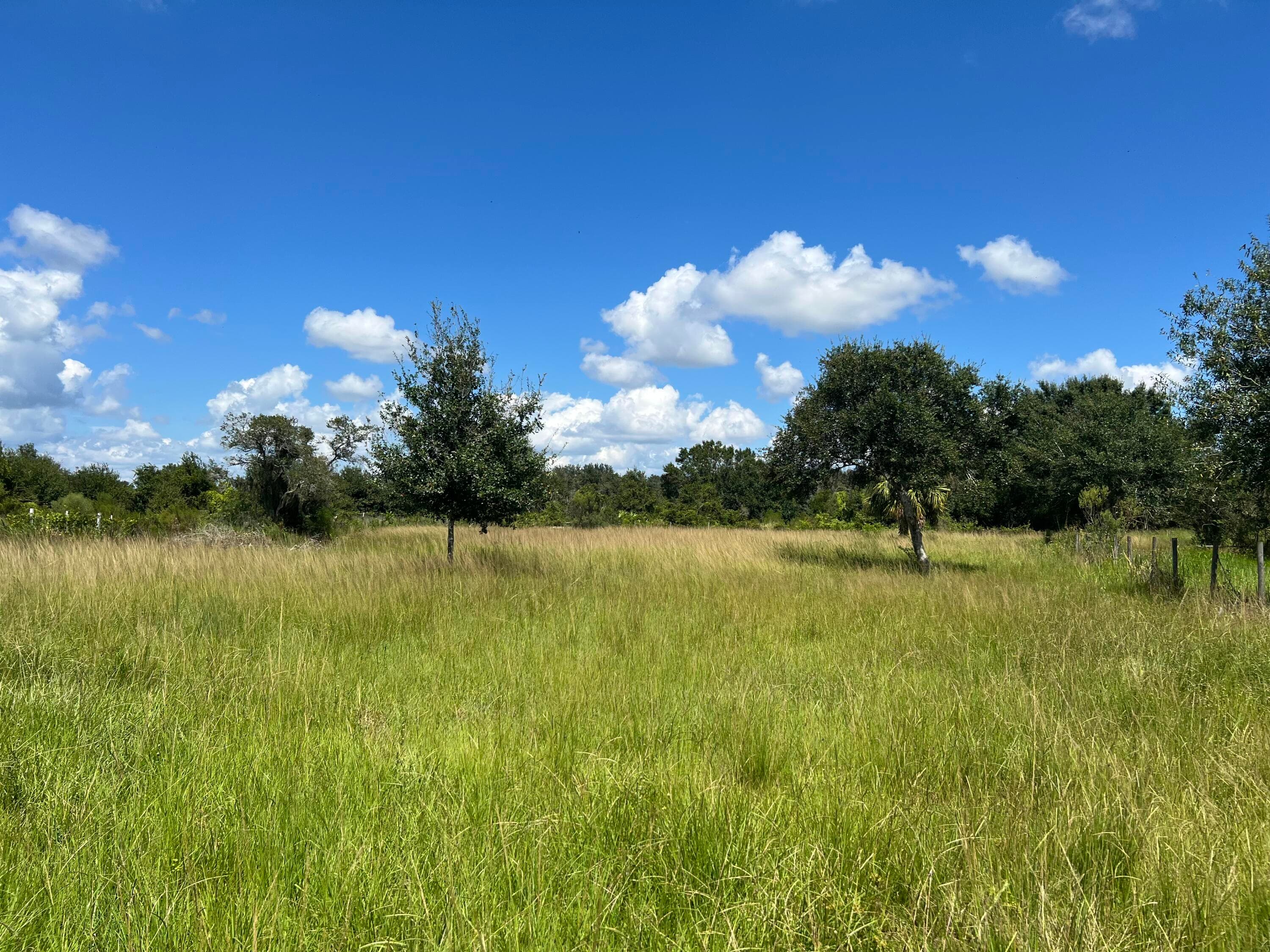 14615 NW 246th Street, Okeechobee, FL 34972 — photo 23 of 25