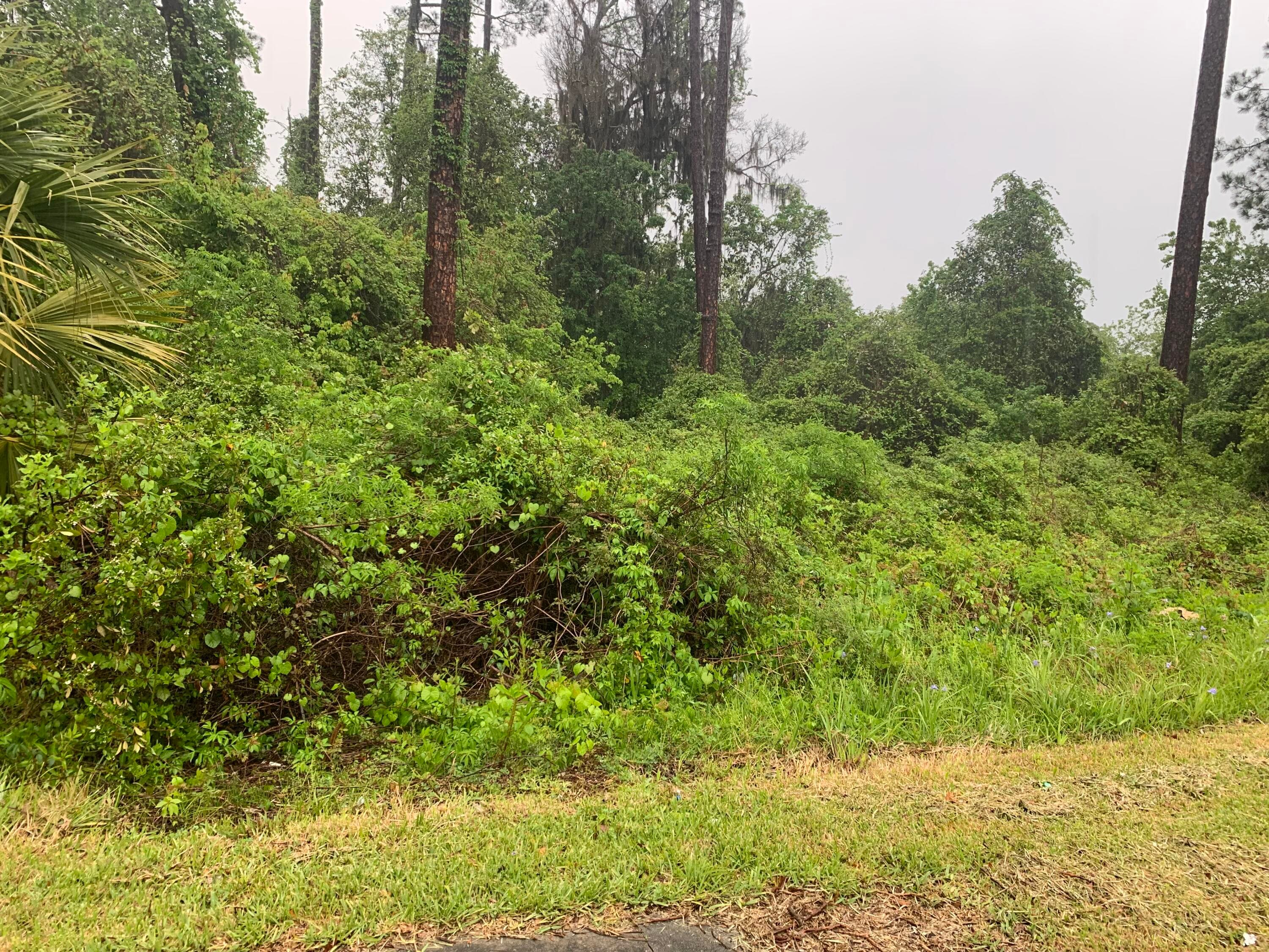 0 SE Unassigned Location Re Avenue, Gainesville, FL 32641 — photo
