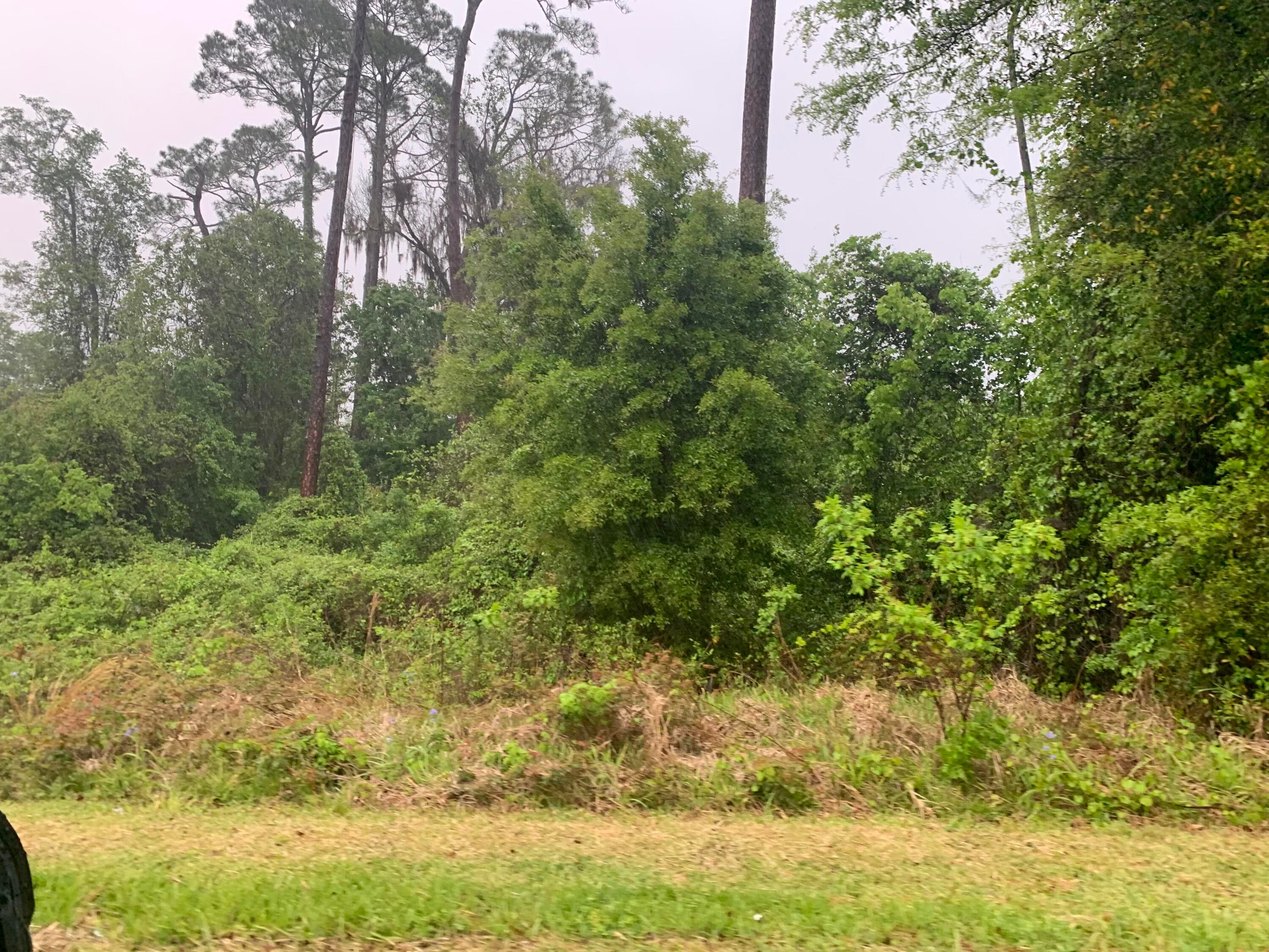 0 SE Unassigned Location Re Avenue, Gainesville, FL 32641 — photo 2 of 5