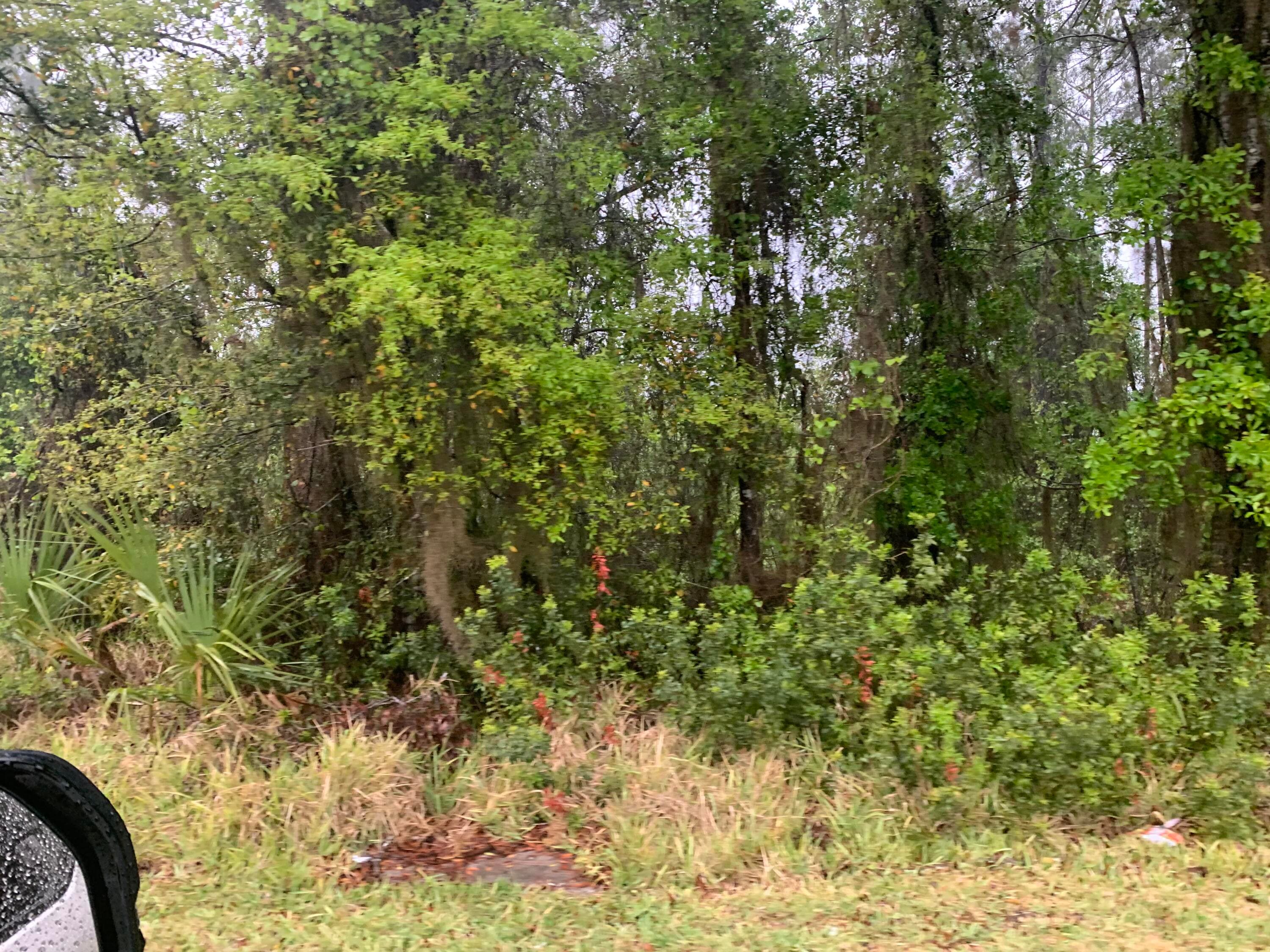 0 SE Unassigned Location Re Avenue, Gainesville, FL 32641 — photo 4 of 5