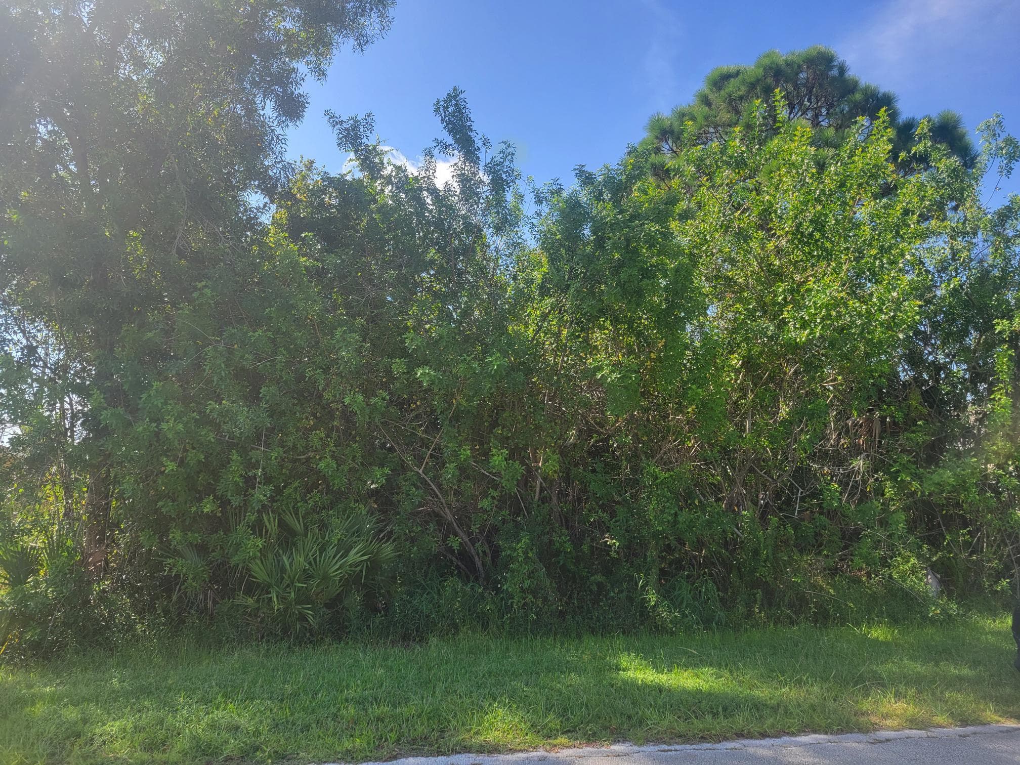 474 SW Kaabe Avenue, Port St. Lucie, FL 34953 — photo 2 of 30