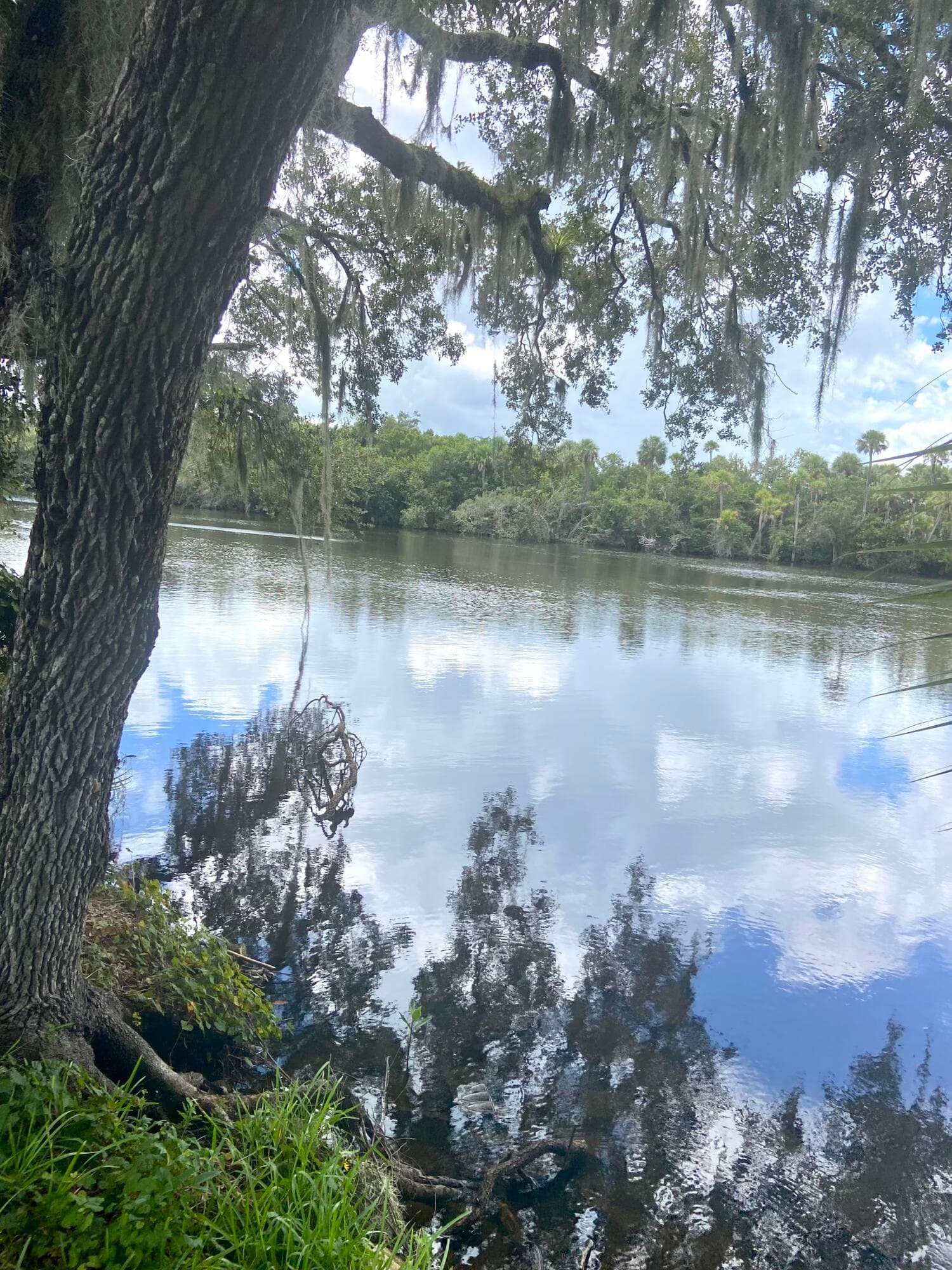 29 Quintanna Roo Lane Lane, Port St. Lucie, FL 34952 — photo 8 of 53