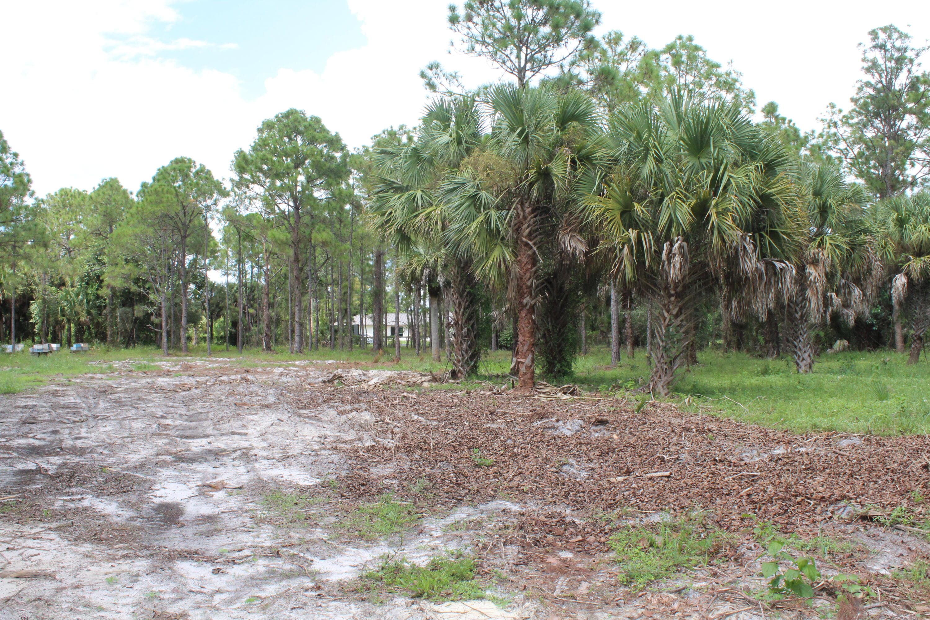 1275 Arabian Drive, Loxahatchee, FL 33470 — photo 3 of 11