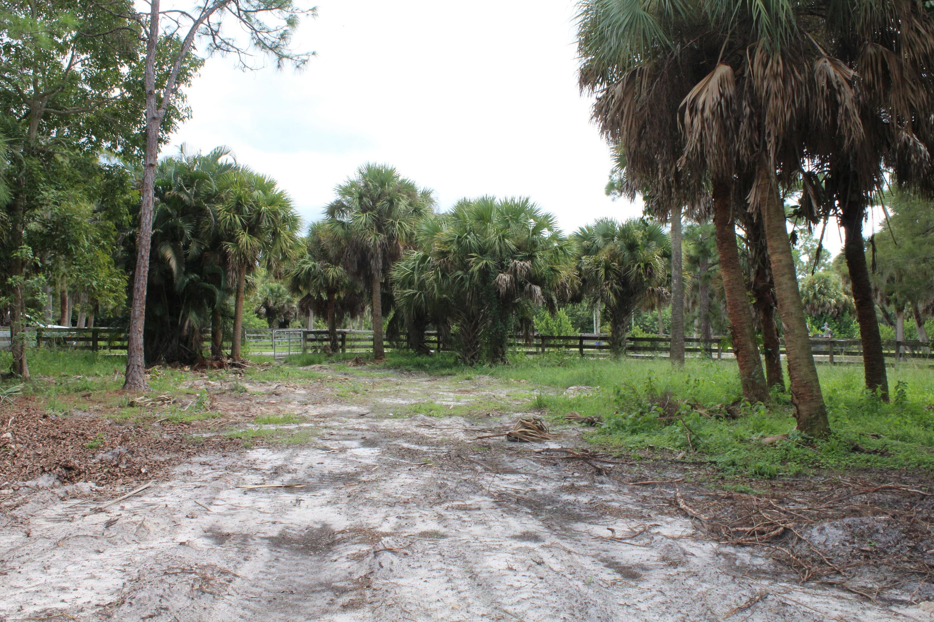 1275 Arabian Drive, Loxahatchee, FL 33470 — photo 5 of 11