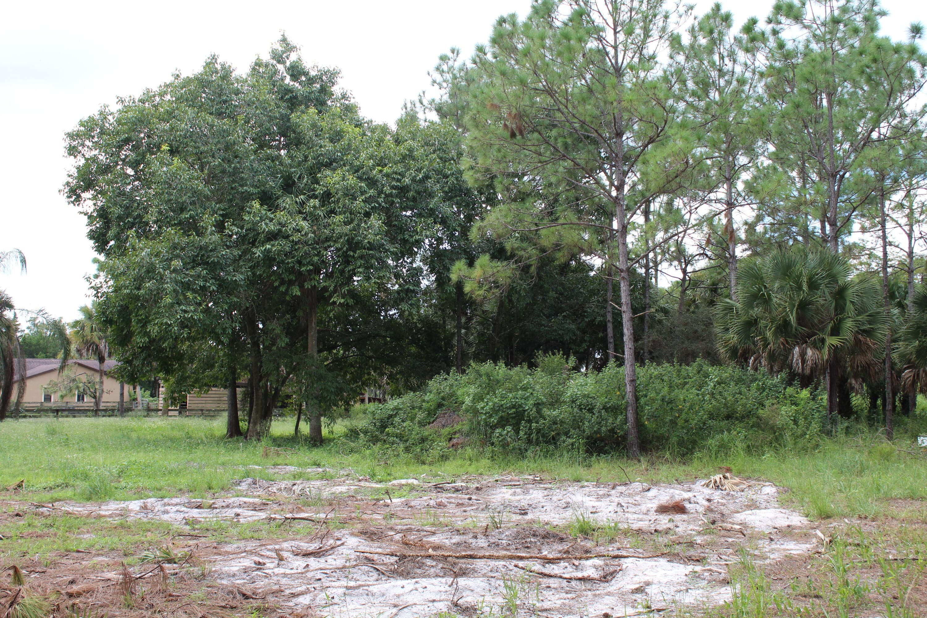 1275 Arabian Drive, Loxahatchee, FL 33470 — photo 4 of 11