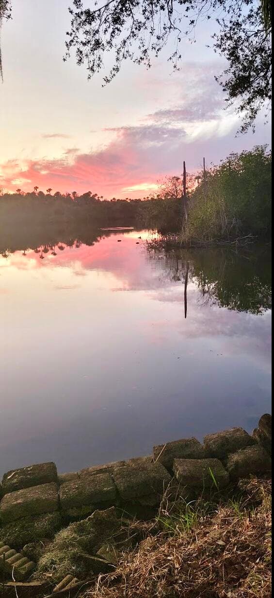 29 Quintanna Roo Lane Lane, Port St. Lucie, FL 34952 — photo 46 of 53