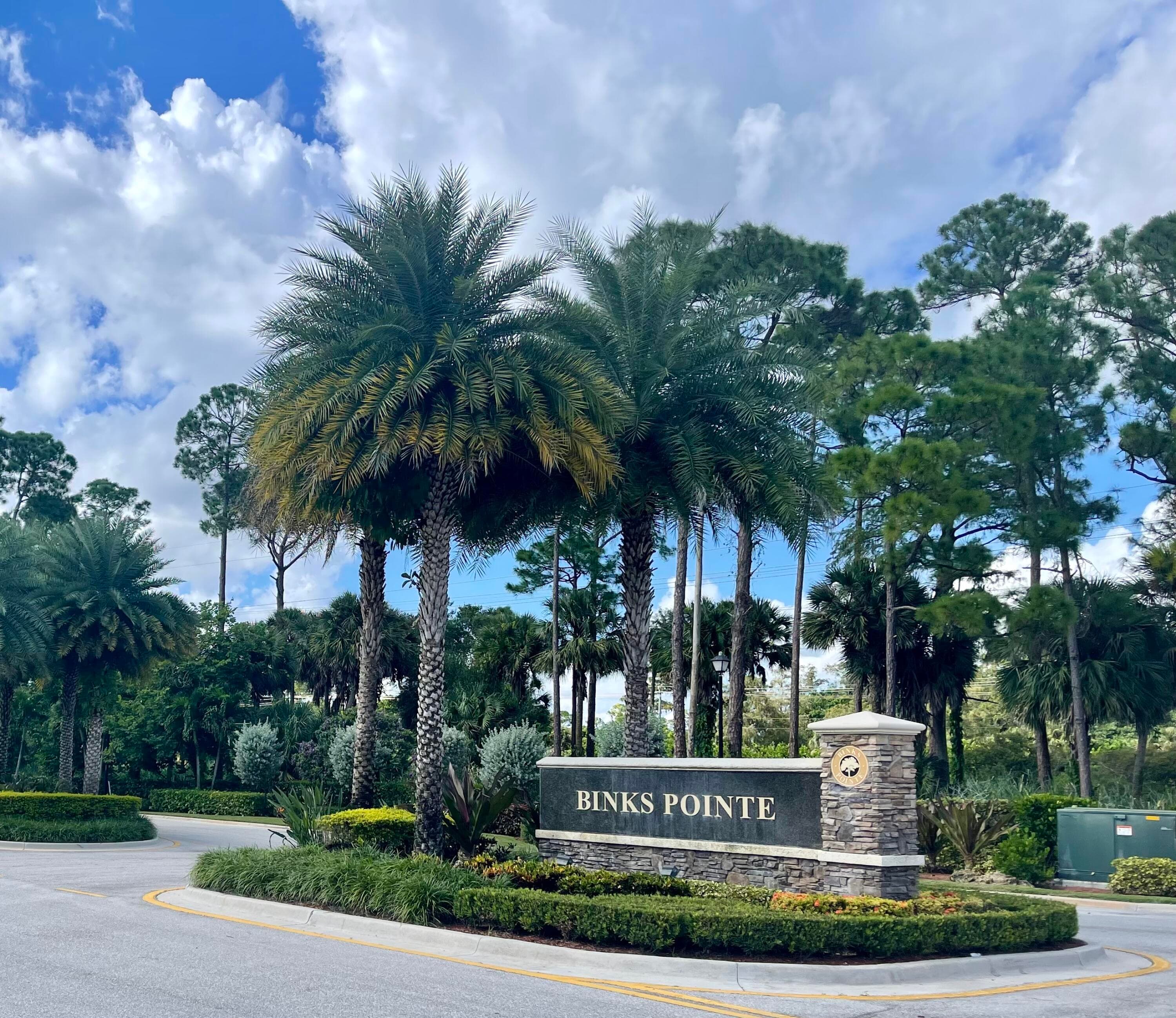 151 Sword Fern Place, Wellington, FL 33414 — photo 4 of 75