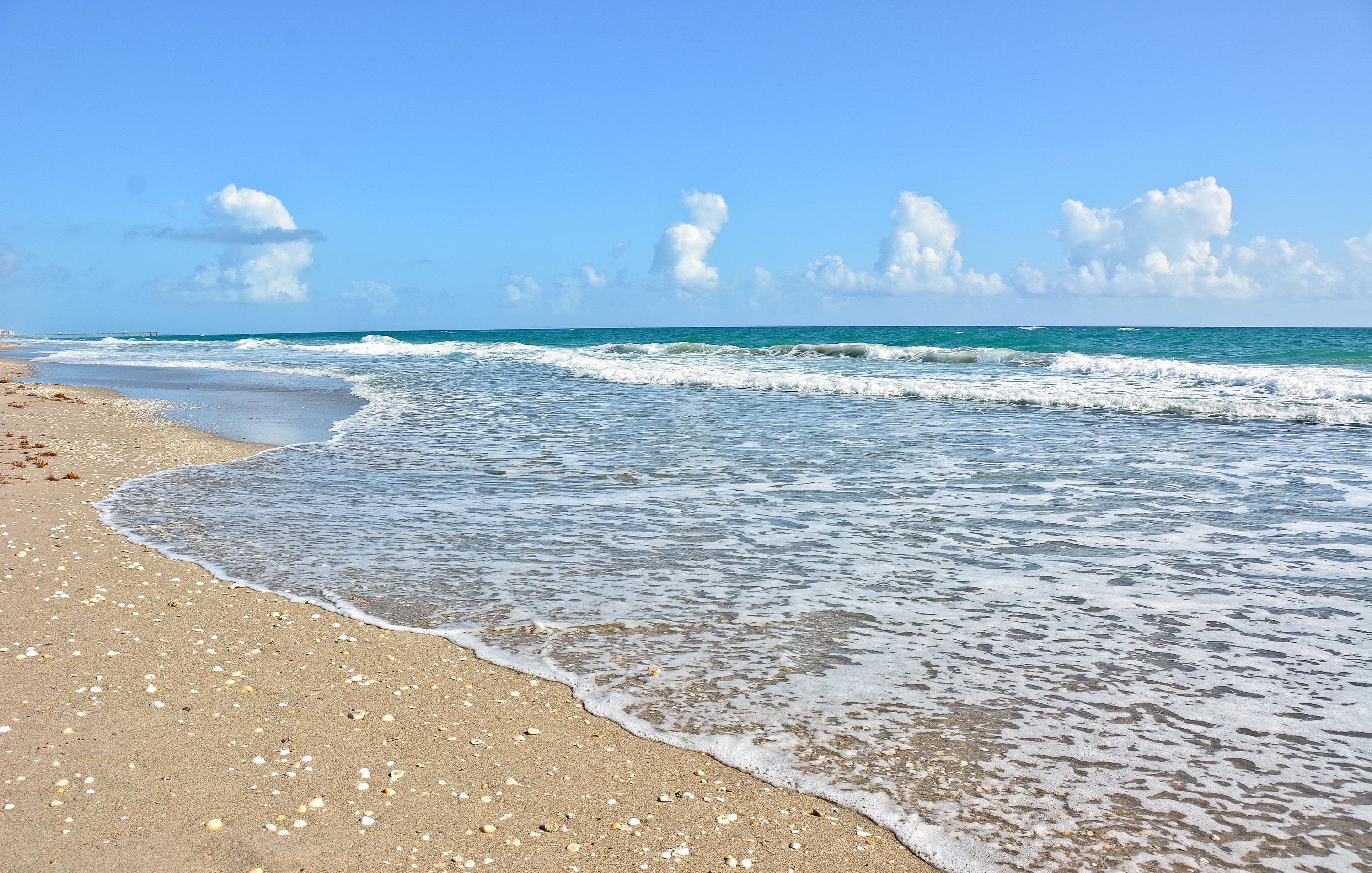 50 Celestial Way 8e, Juno Beach, FL 33408 — photo 5 of 75