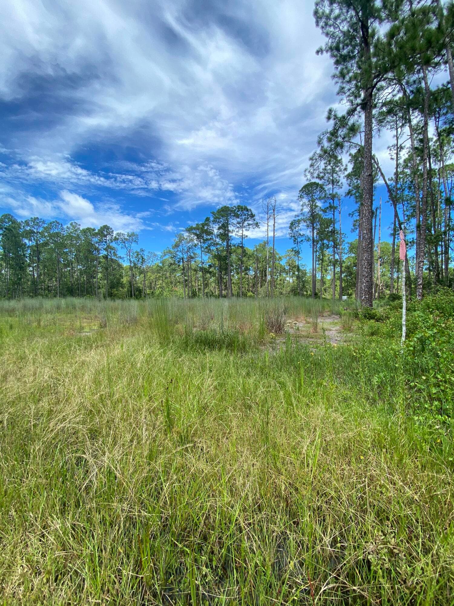 418 Gaillardia Drive, Lake Wales, FL 33855 — photo 3 of 9