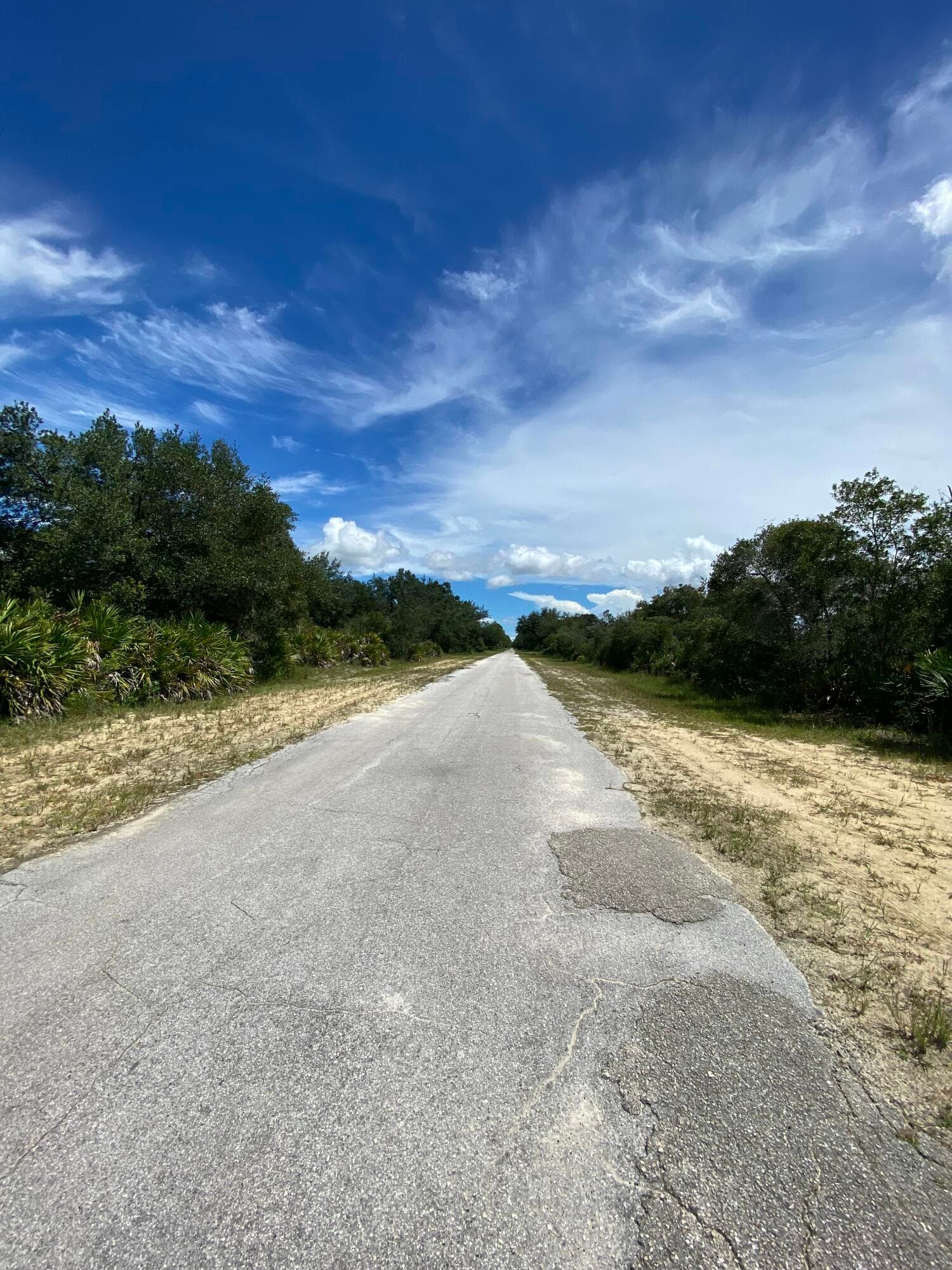 509 Pandora Drive, Lake Wales, FL 33855 — photo