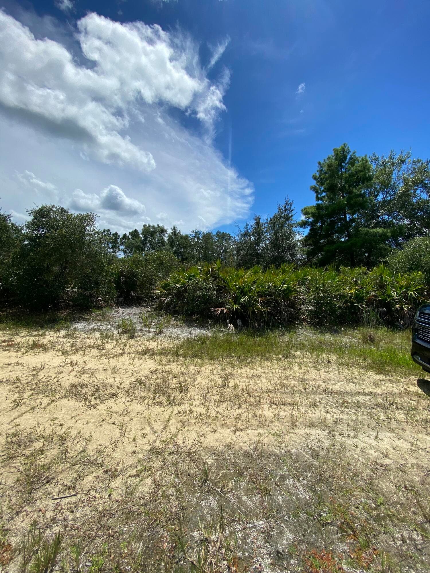 509 Pandora Drive, Lake Wales, FL 33855 — photo 2 of 4