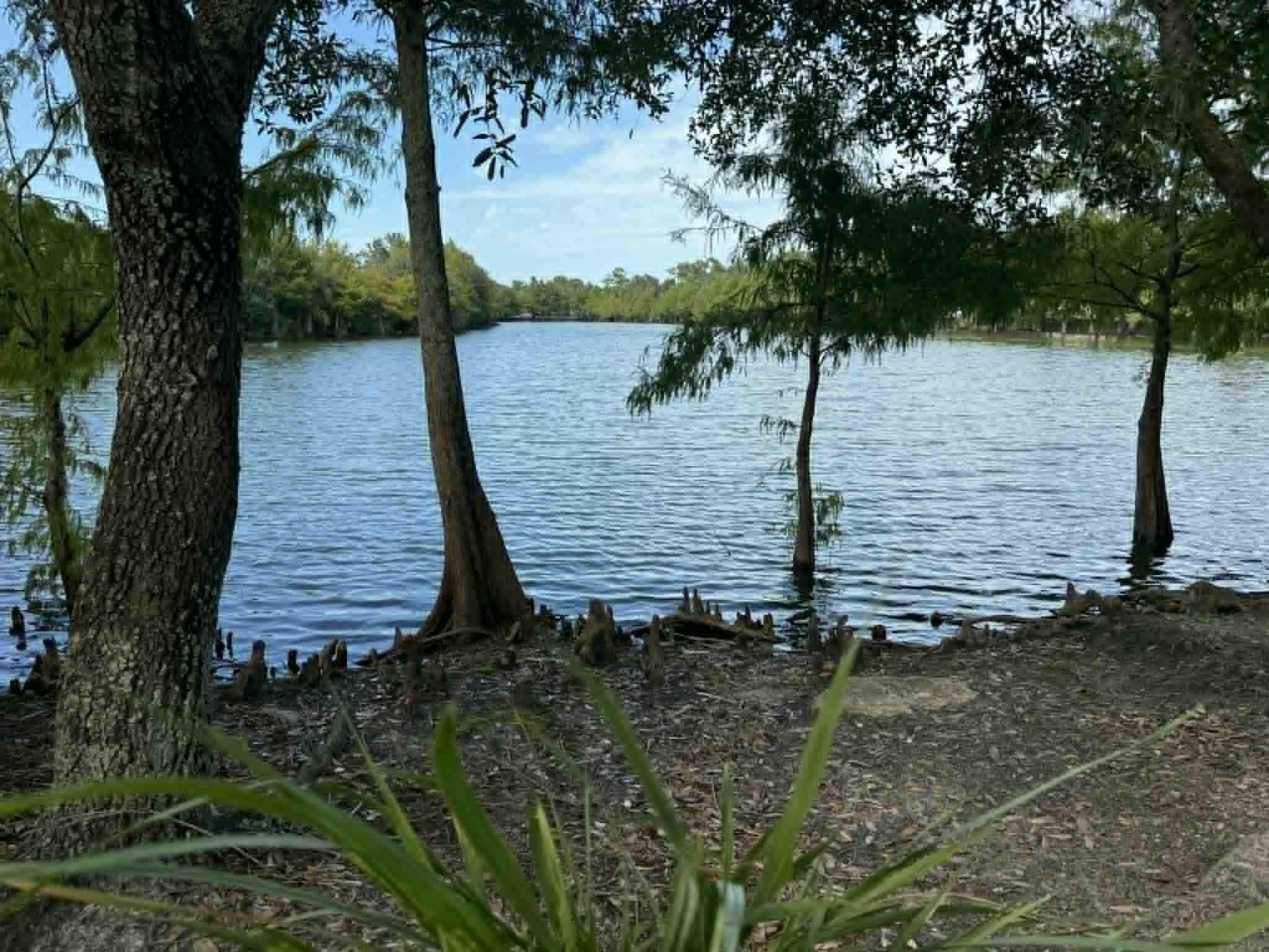 2527 SE Ruskin Drive, Port St. Lucie, FL 34952 — photo 26 of 34