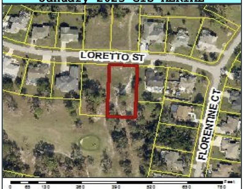 0 Tbd Loretto Lot 8 Street, Spring Hill, FL 34608 — photo 3 of 3