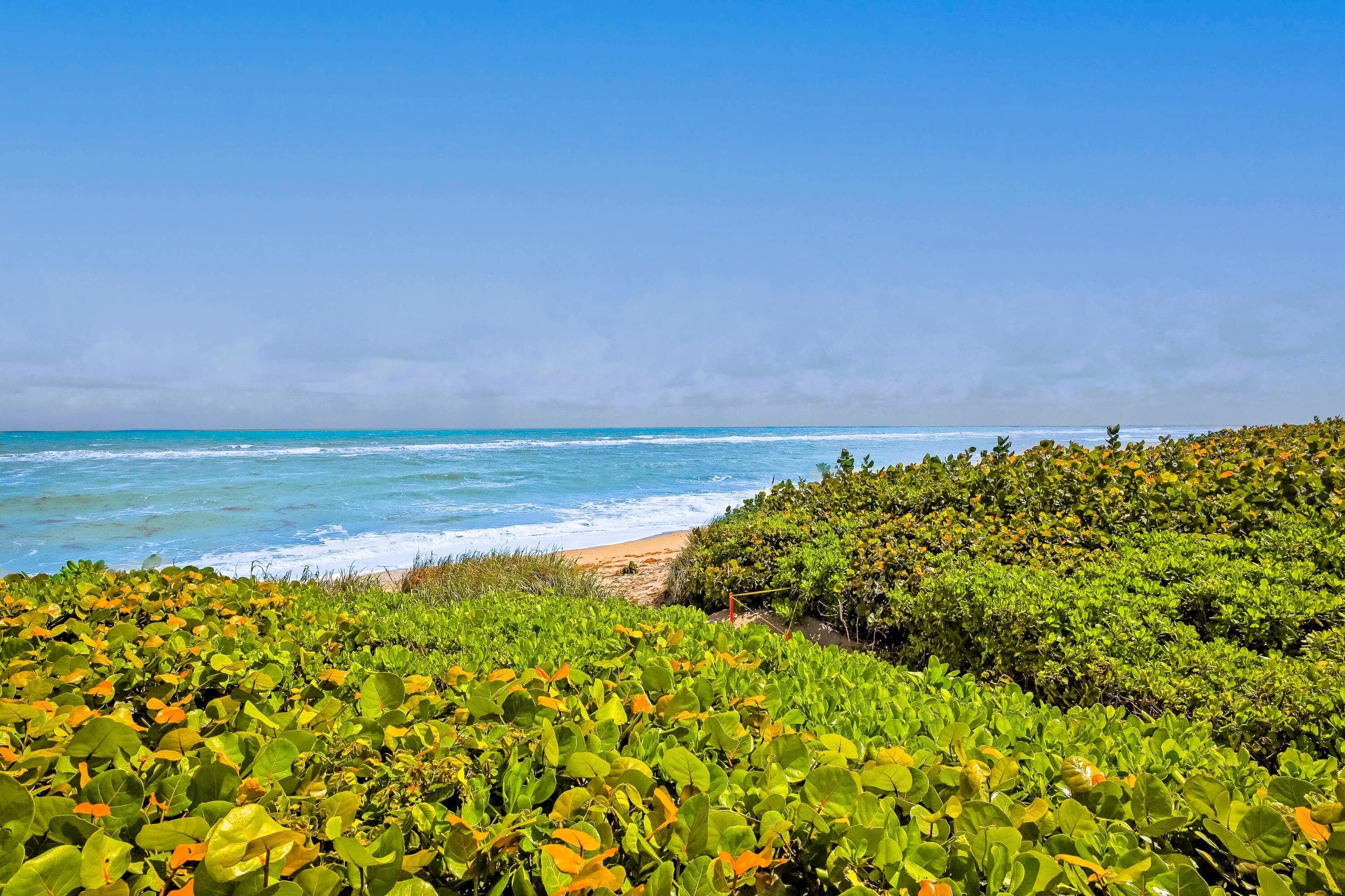 420 Celestial Way 204, Juno Beach, FL 33408 — photo 4 of 35