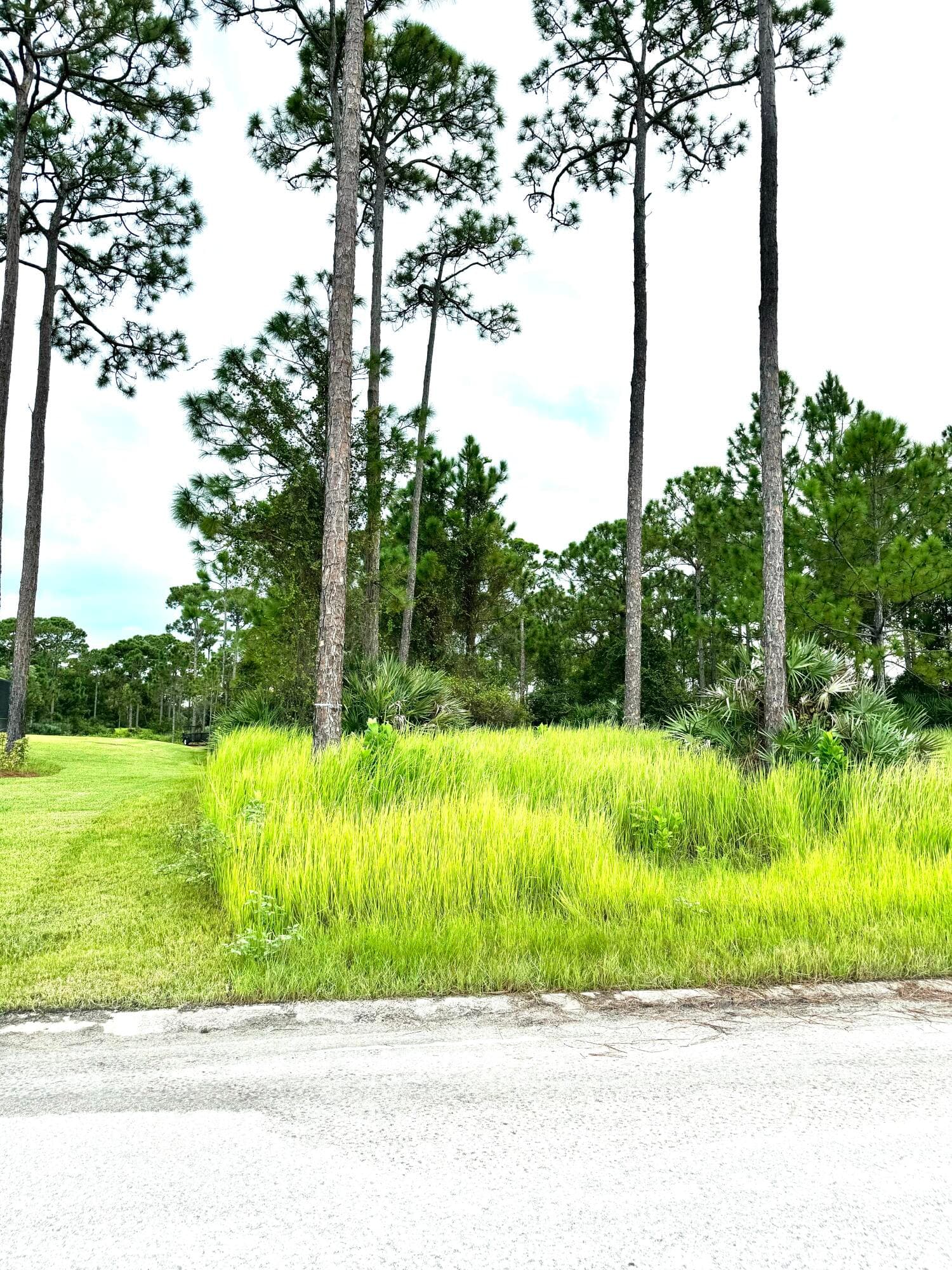10615 Sugar Pine Drive, Fort Pierce, FL 34945 — photo 5 of 18