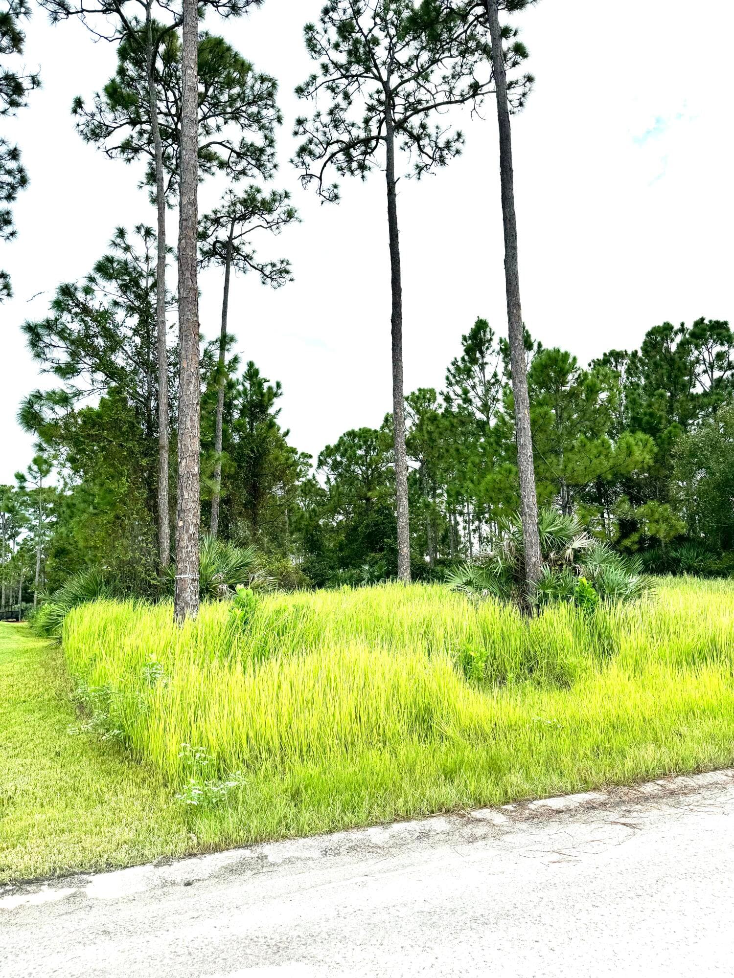 10615 Sugar Pine Drive, Fort Pierce, FL 34945 — photo 13 of 18