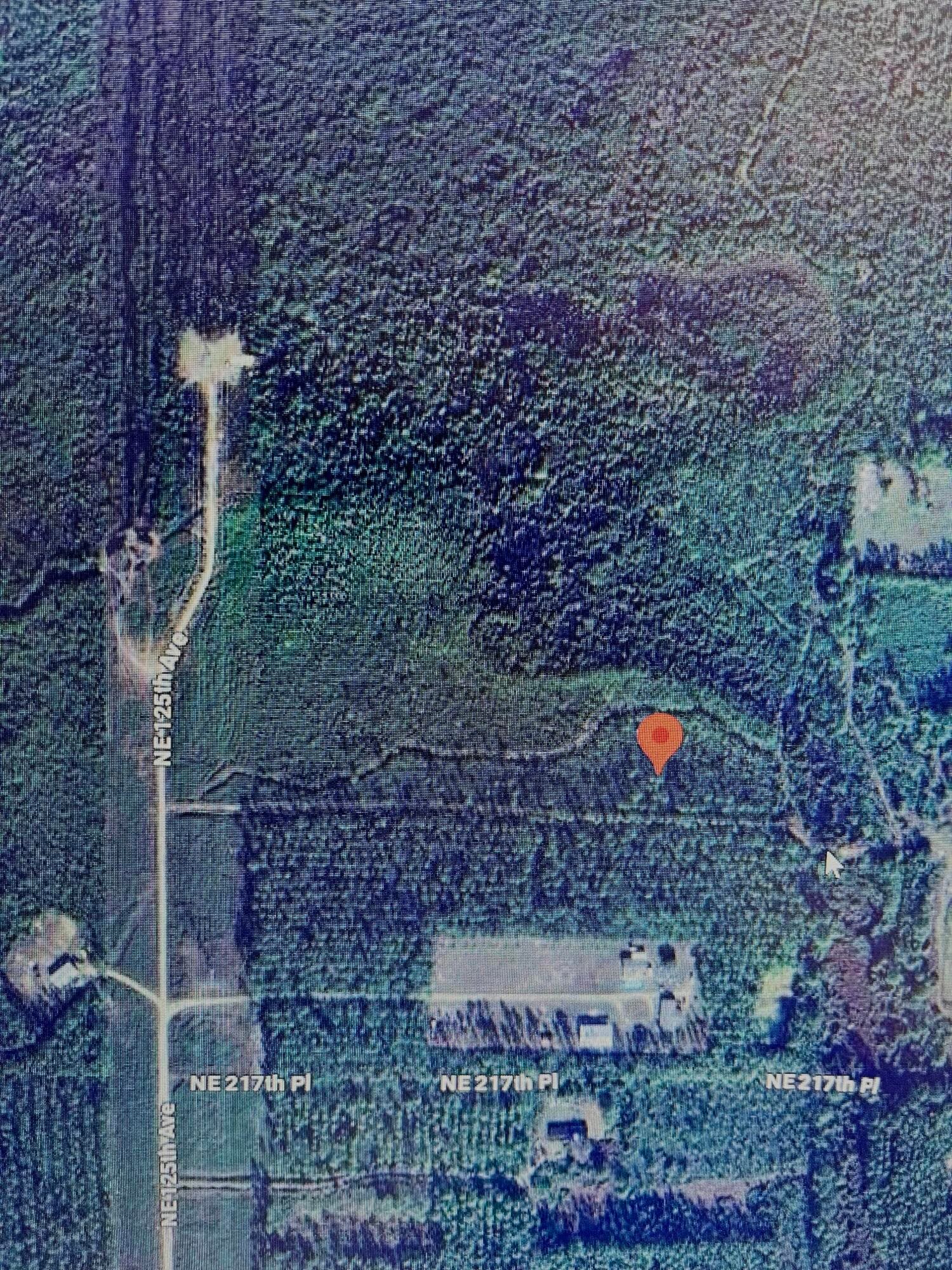 0000 Ne 125th Ave, Fort McCoy, FL 32134 — photo 8 of 8