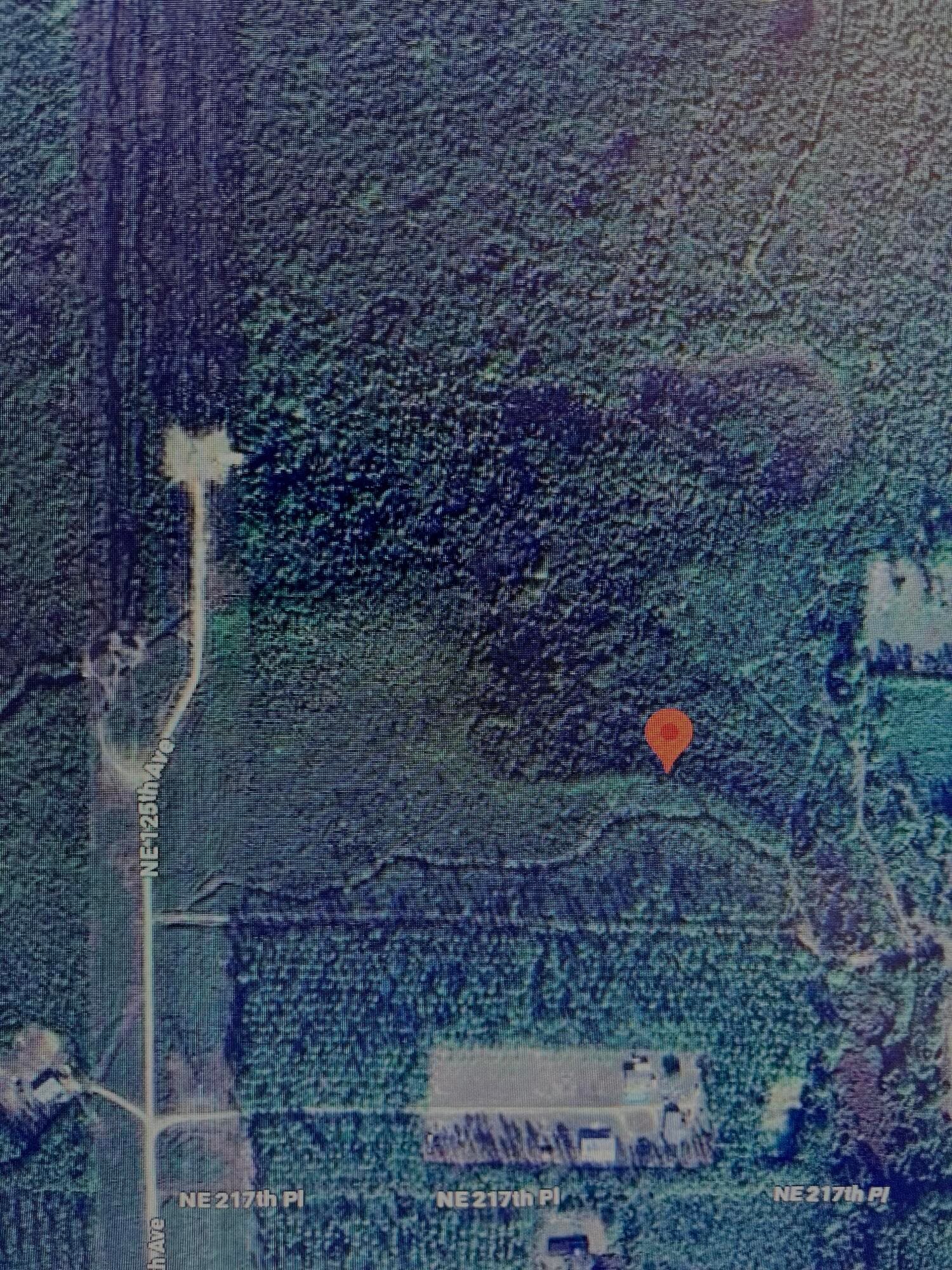 0000 Ne 125th Ave, Fort McCoy, FL 32134 — photo 8 of 8