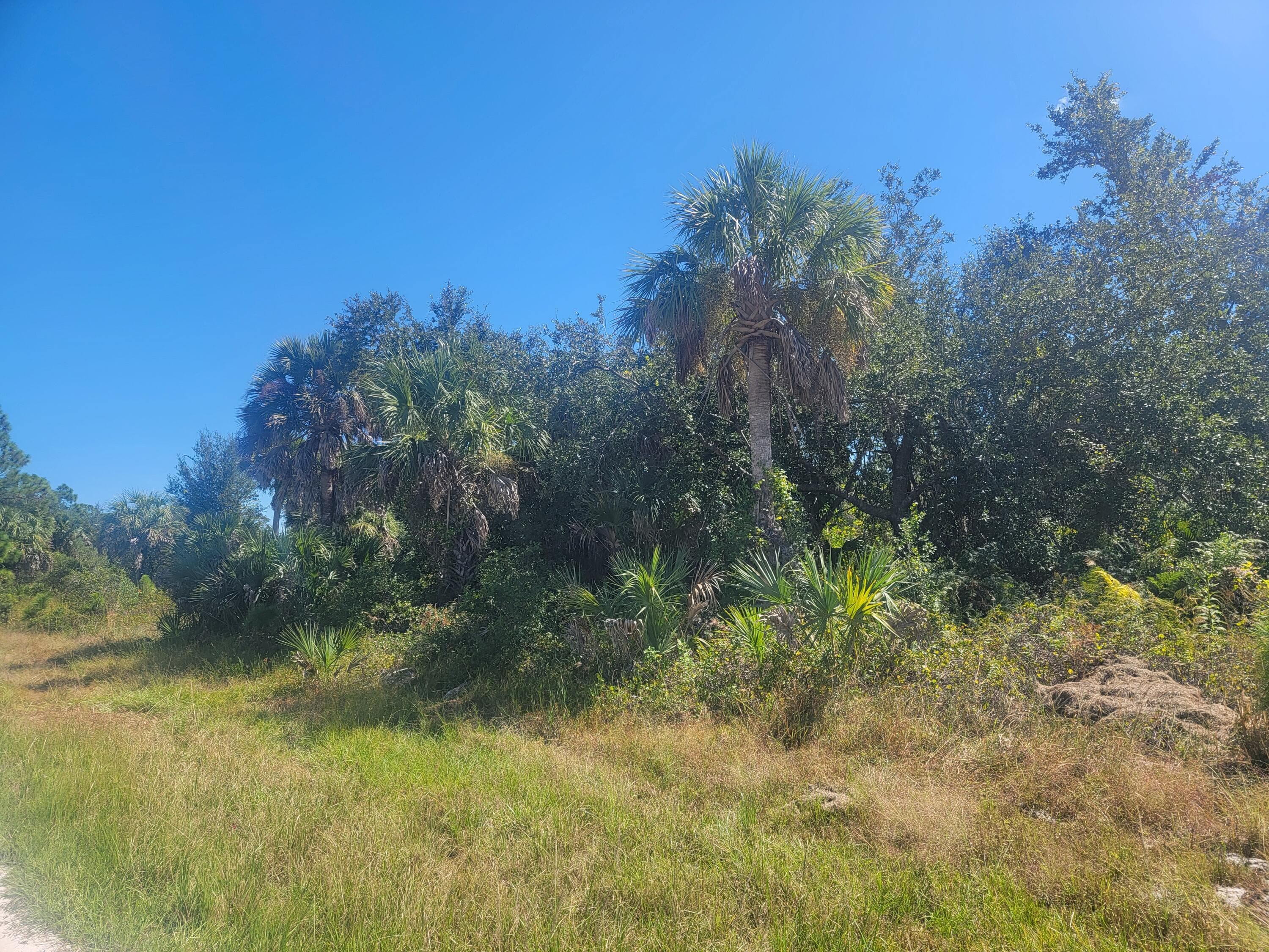 Unimproved Land in Port Charlotte — photo 3 of 6