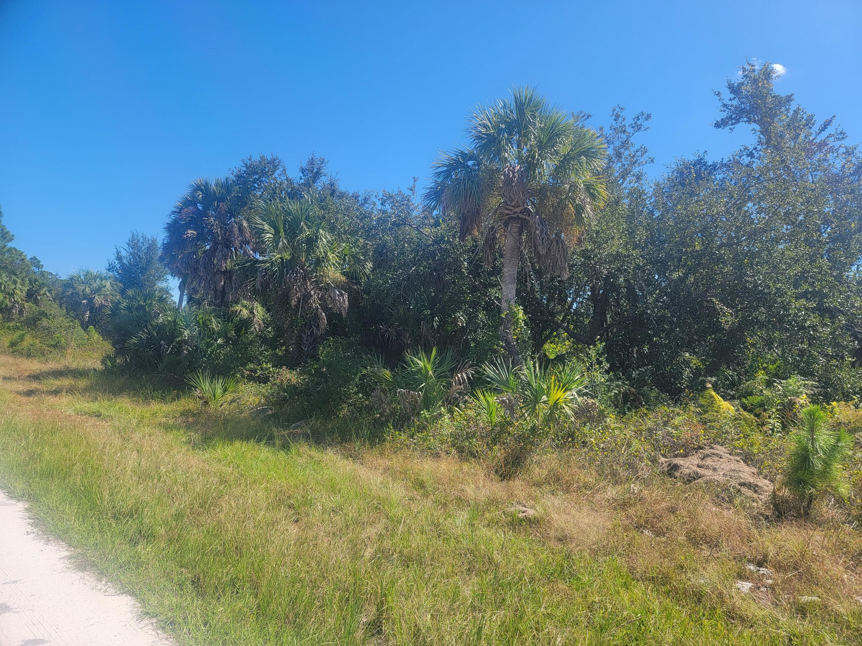 Unimproved Land in Port Charlotte — photo 4 of 6
