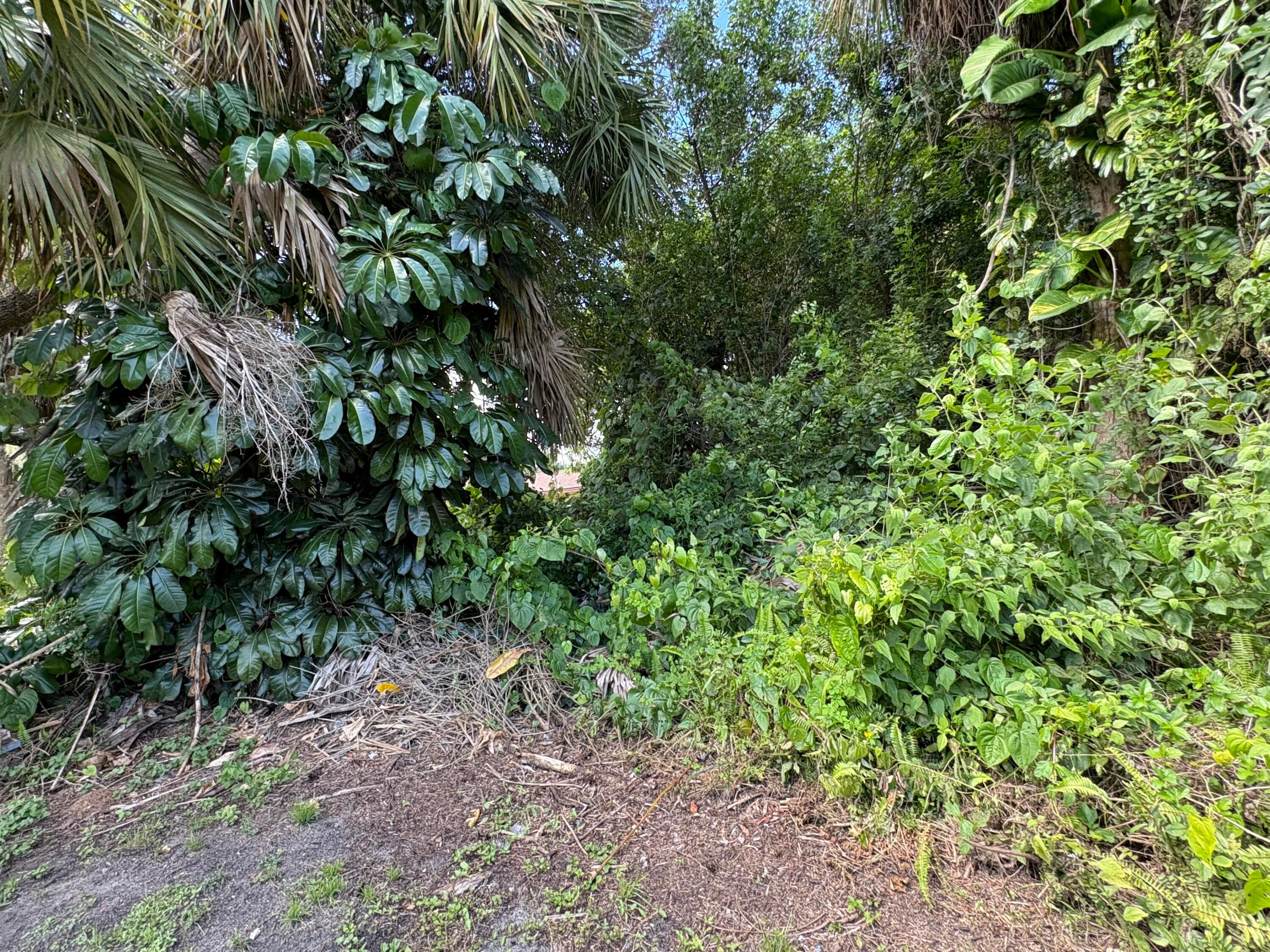 Tbd Santa Clara Boulevard, Port St. Lucie, FL 34951 — photo 5 of 8