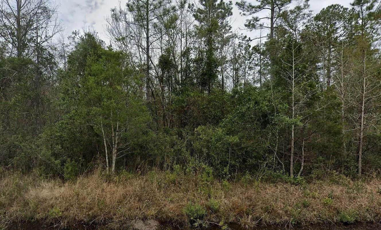 4220 Isaac Street, Hastings, FL 32145 — photo 4 of 5
